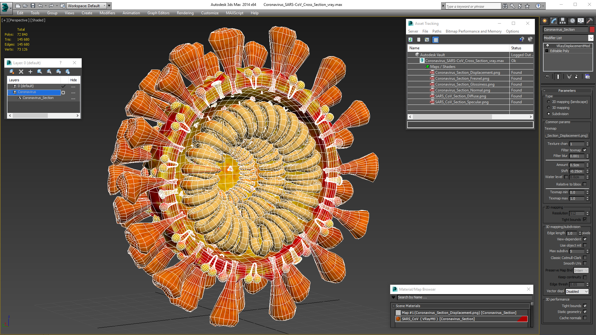 Coronavirus SARS-CoV Cross Section 3D model