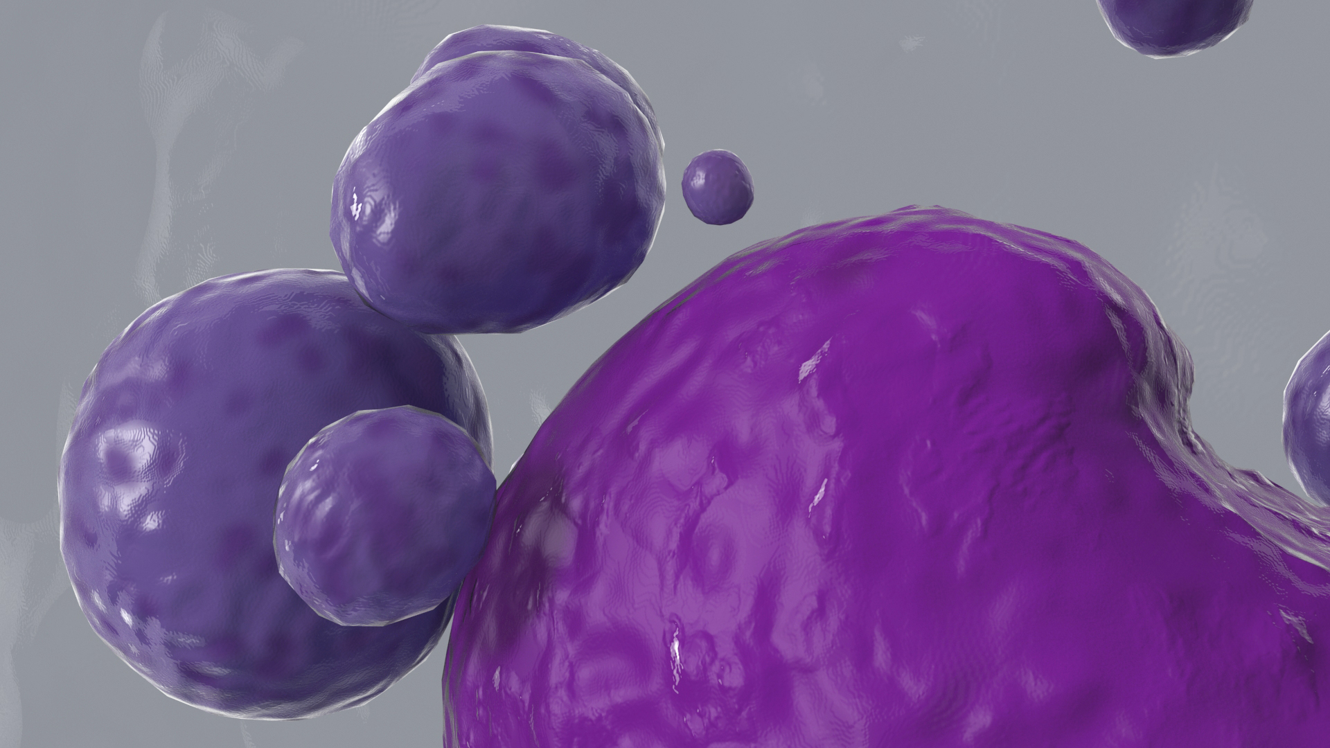 Basophil Blood Cell 3D model