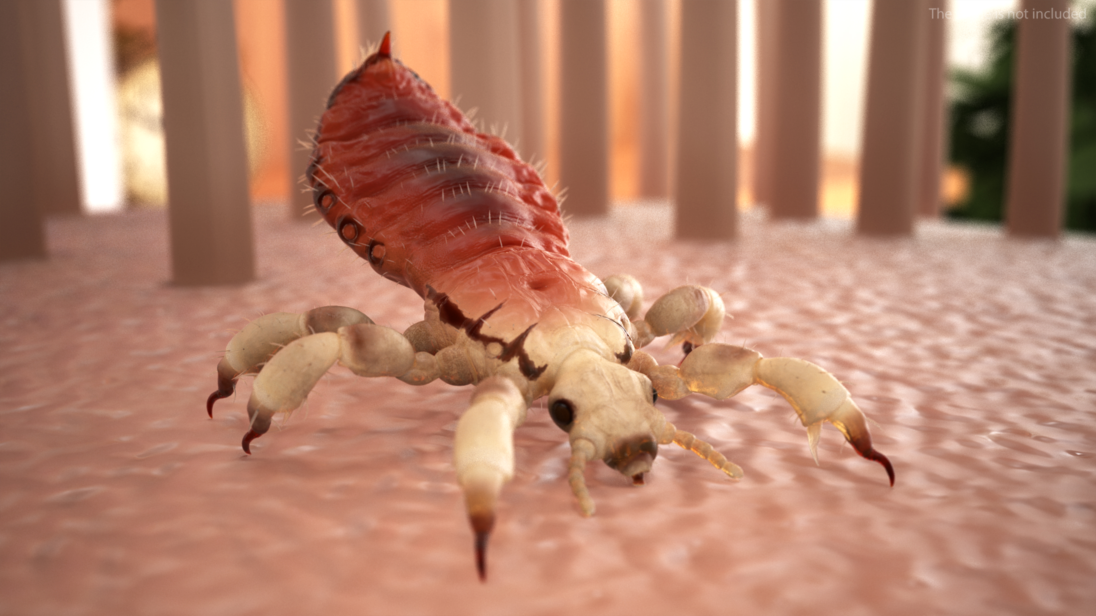 Louse with Blood Eating Pose SSS 3D