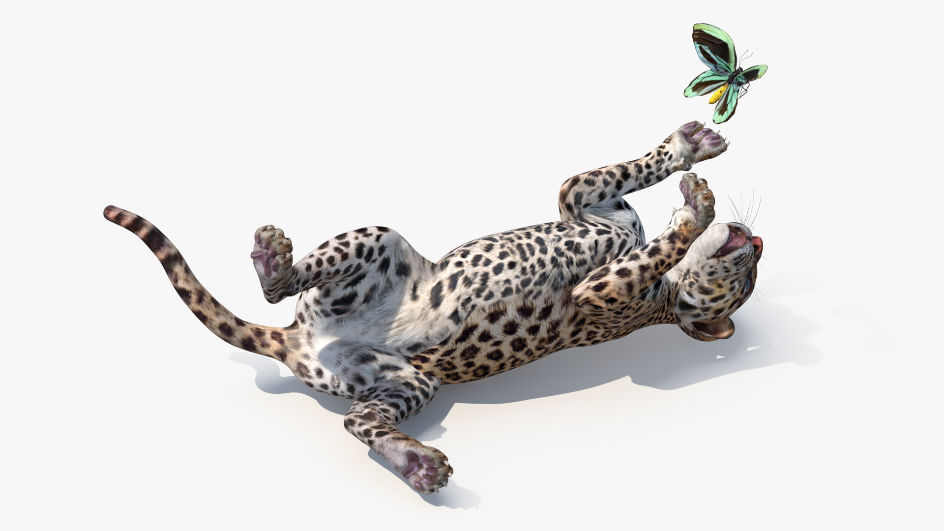 Playful Leopard Cub with Butterfly 3D model