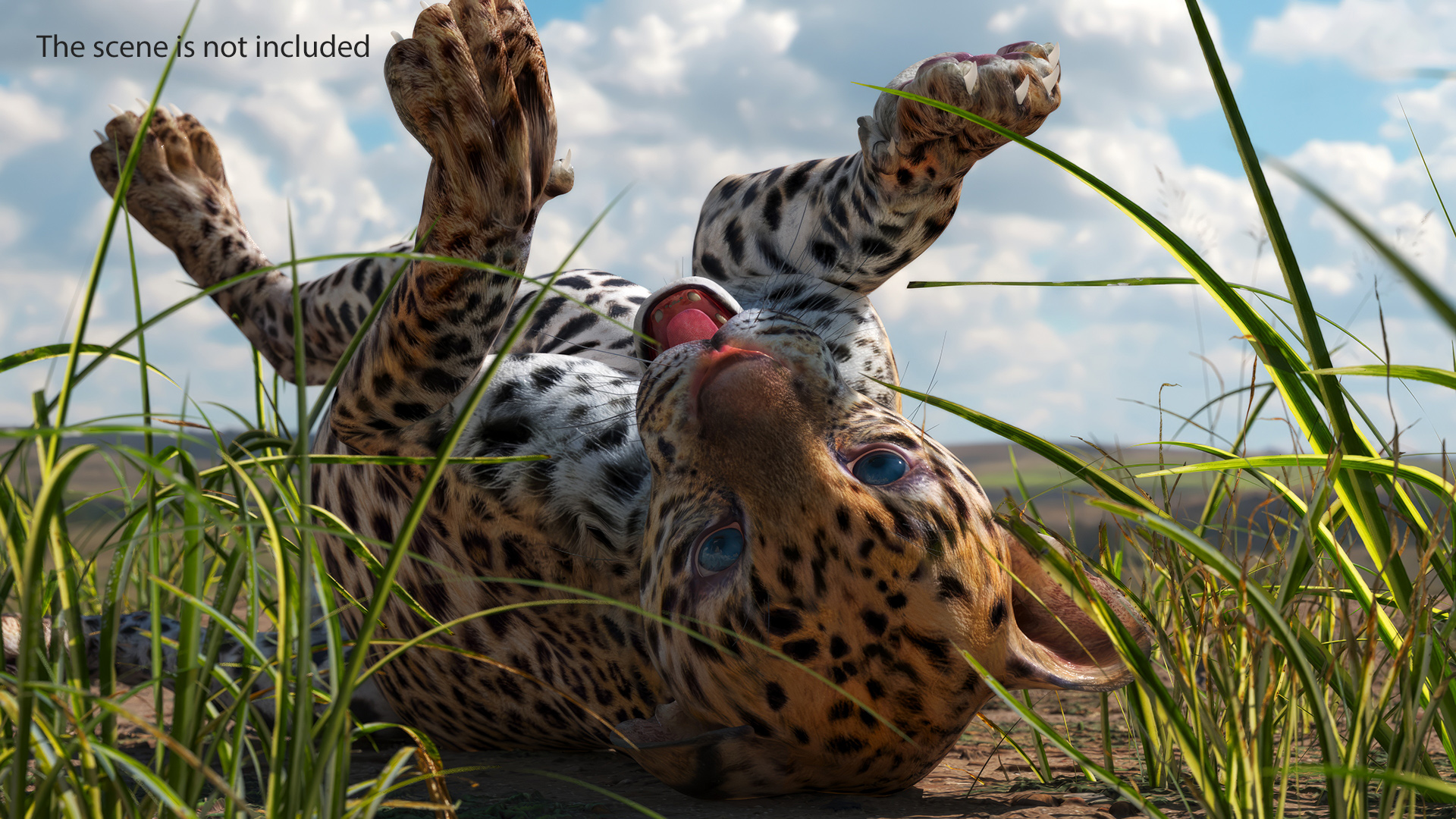 Playful Leopard Cub with Butterfly 3D model