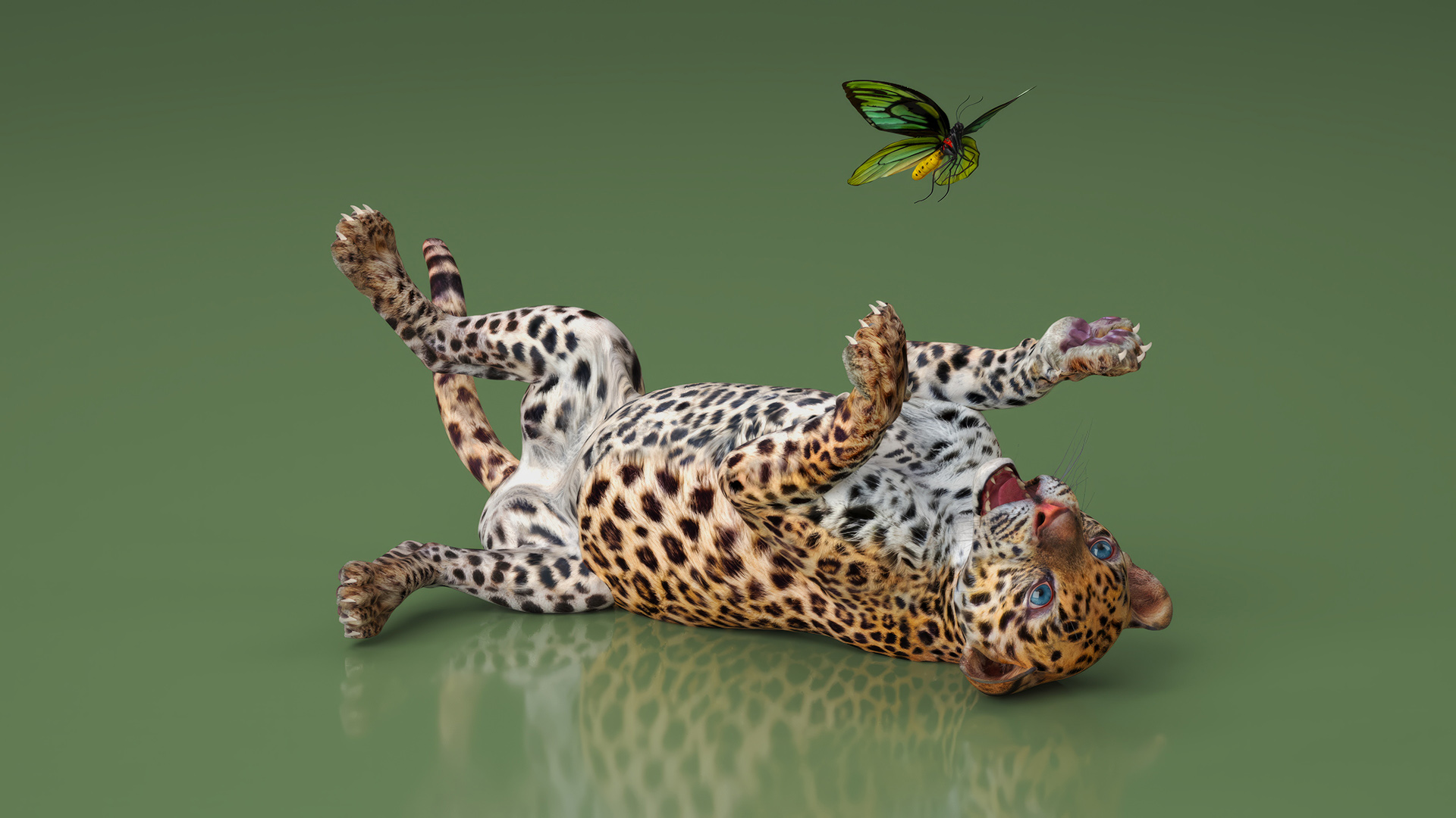 Playful Leopard Cub with Butterfly 3D model