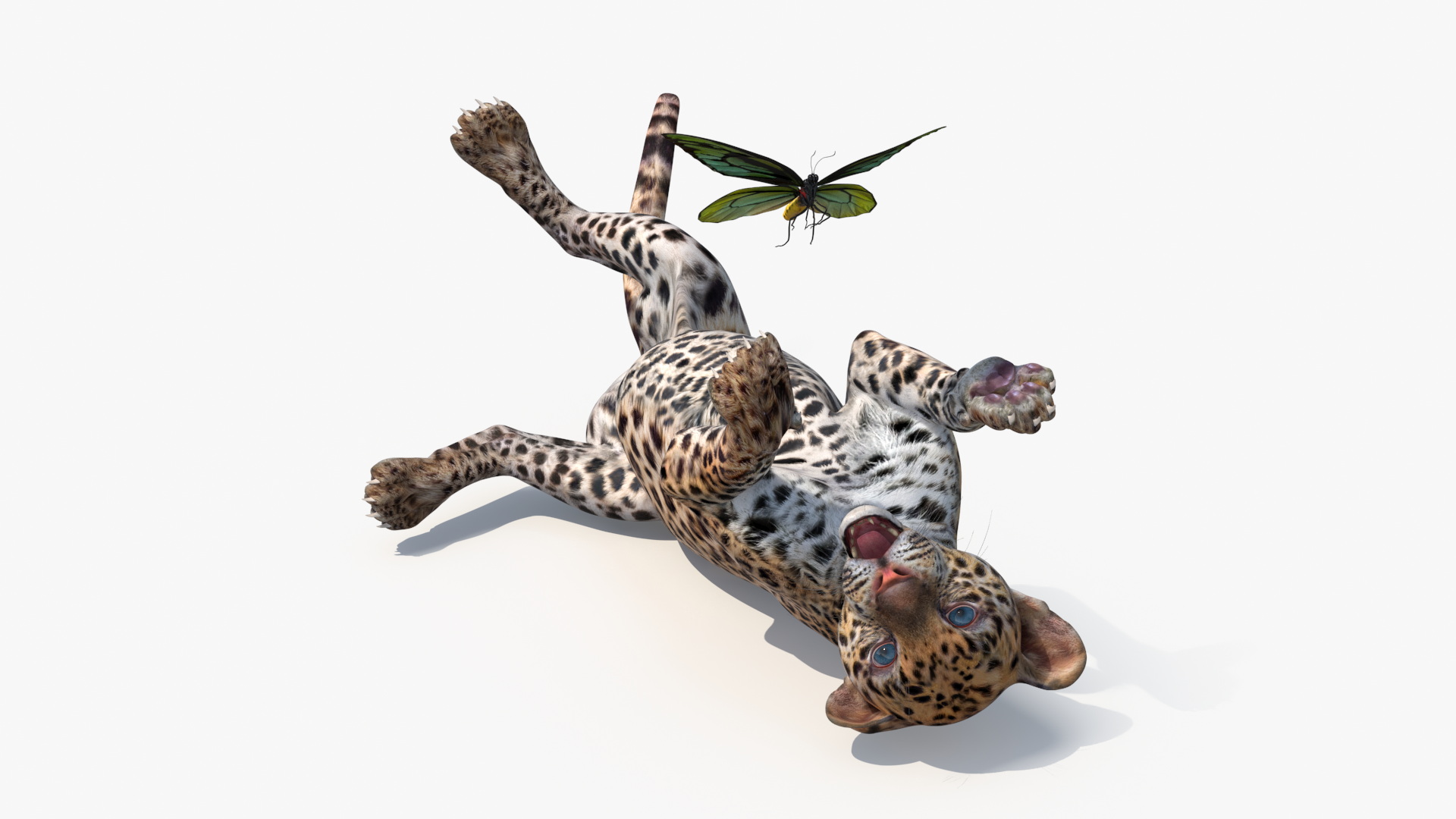 Playful Leopard Cub with Butterfly 3D model