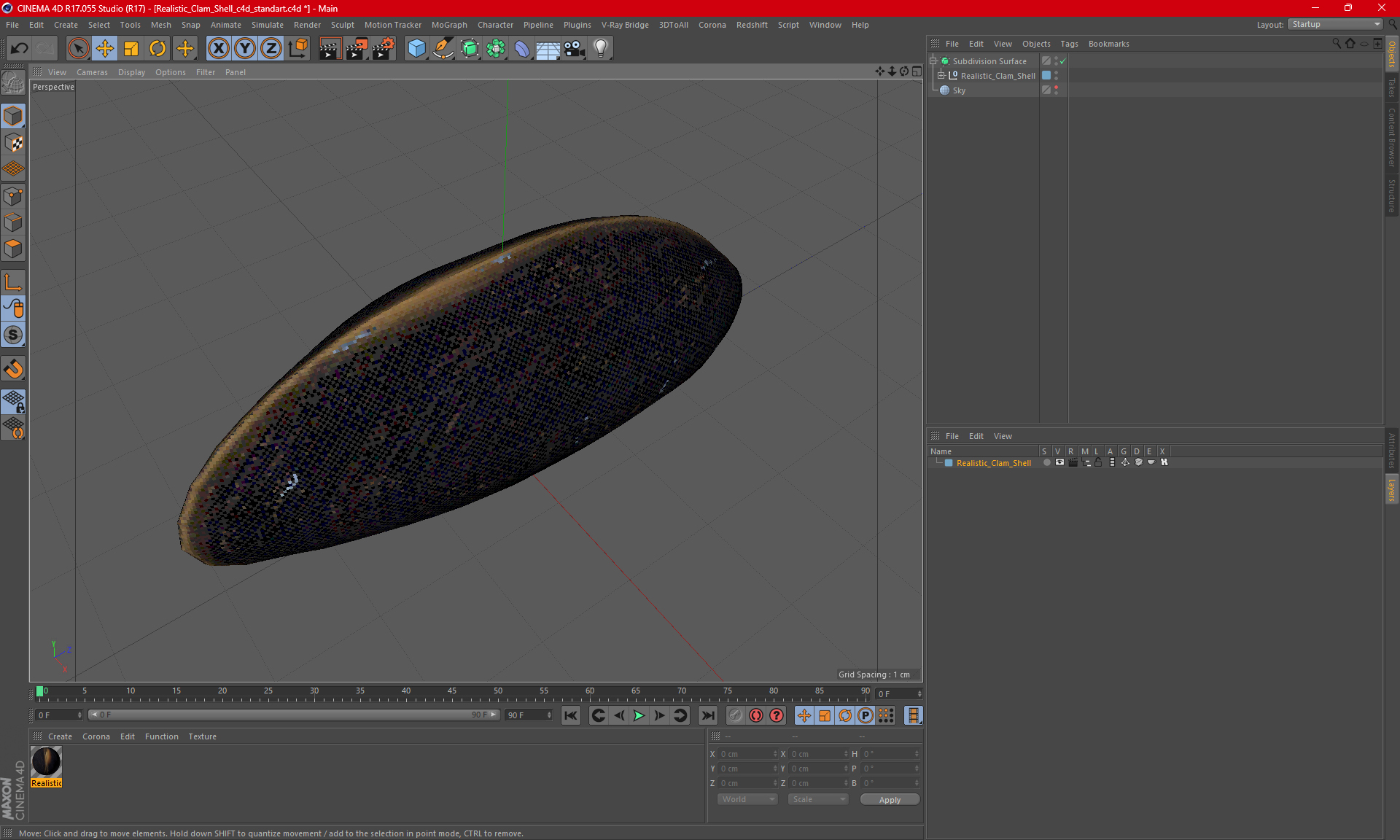 3D model Realistic Clam Shell