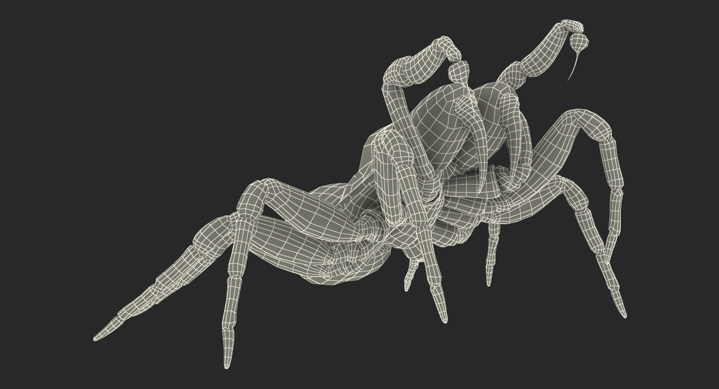 3D Mouse Spider Fighting Pose