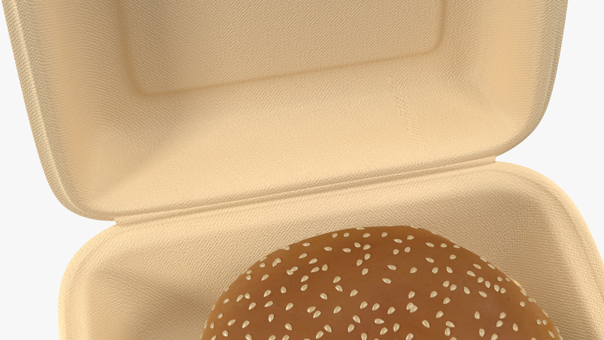 Bagasse Food Box with Cheeseburger 3D model