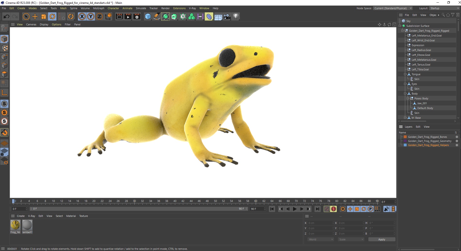 Golden Dart Frog Rigged for Cinema 4D 3D