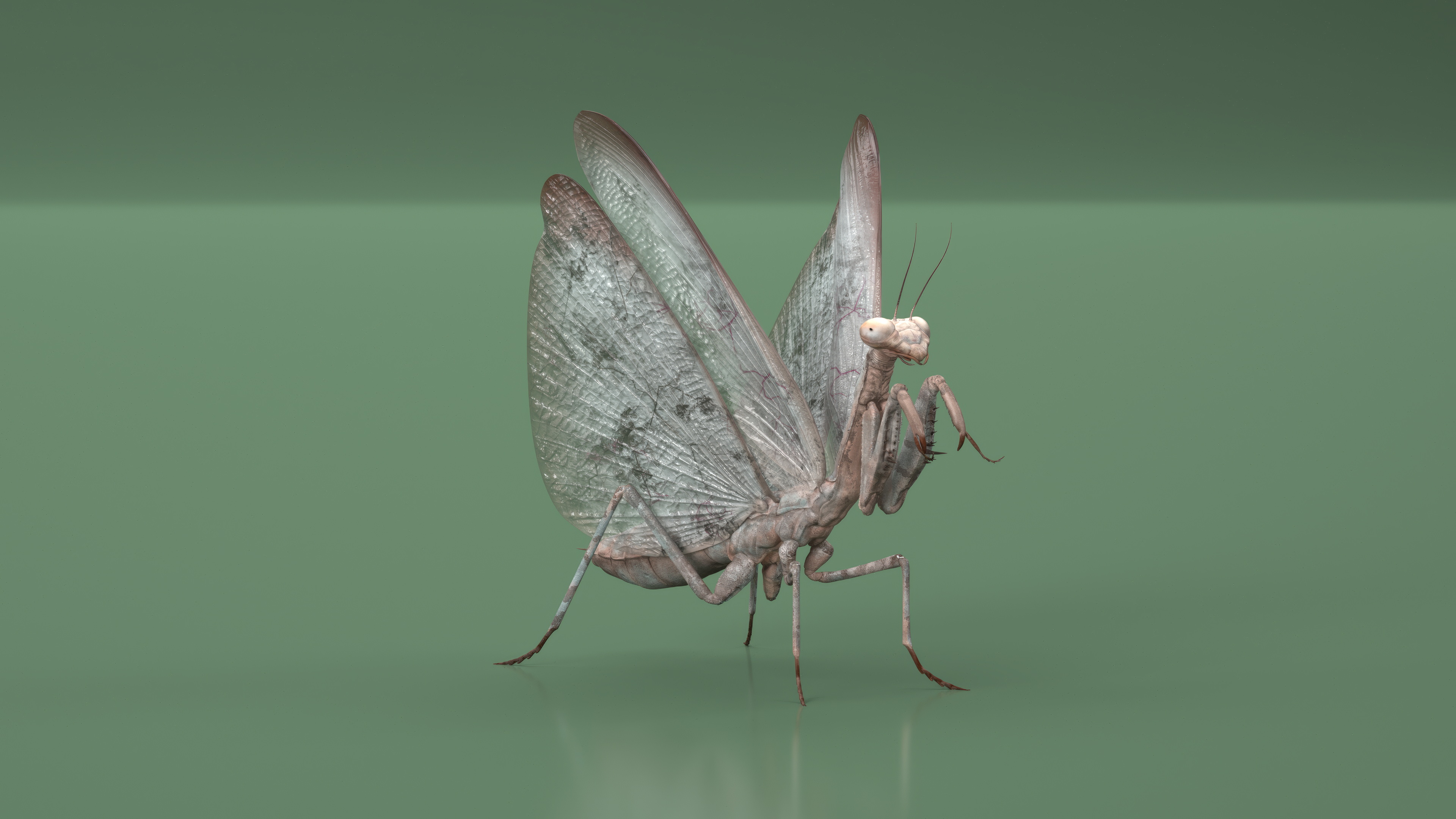 Praying Mantis Insect Fur Rigged 3D