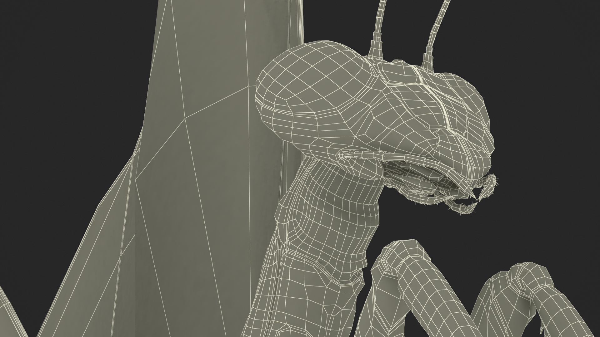 Praying Mantis Insect Fur Rigged 3D