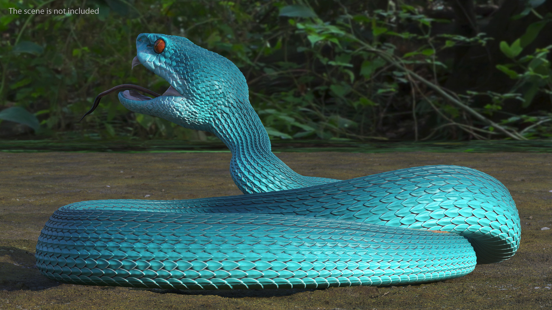 3D model Viper Blue Trimeresurus Rigged