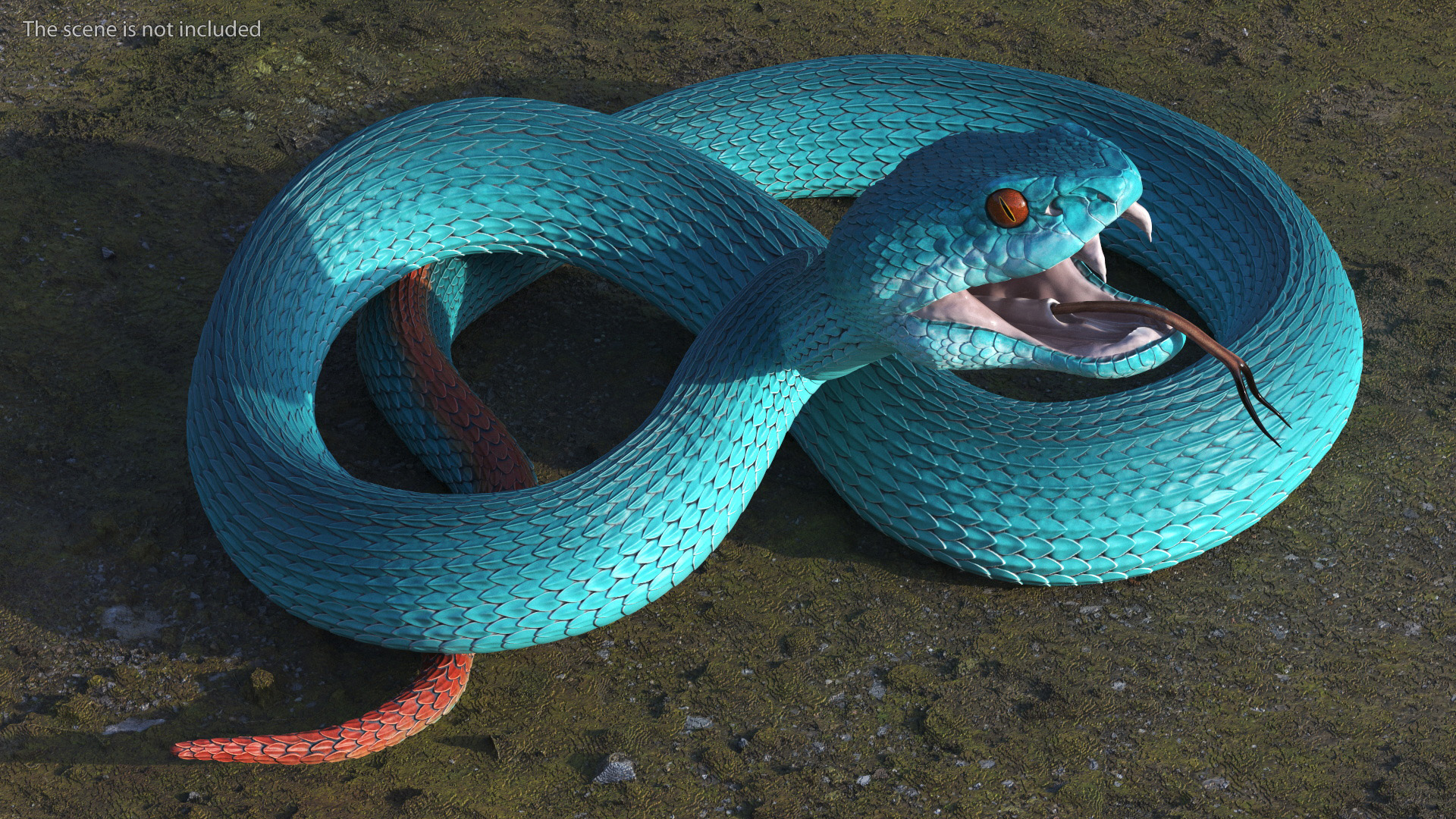 3D model Viper Blue Trimeresurus Rigged