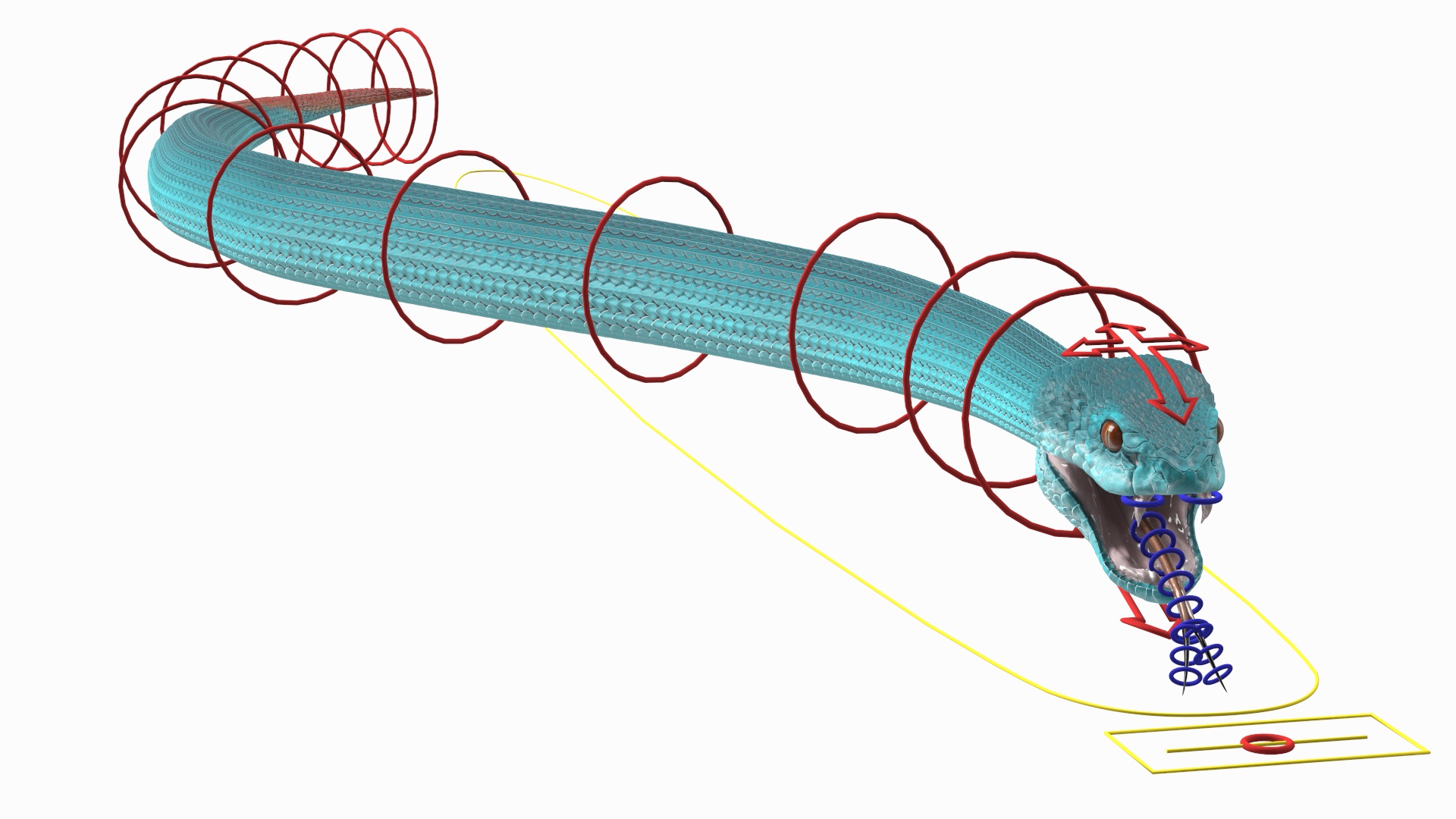 3D model Viper Blue Trimeresurus Rigged