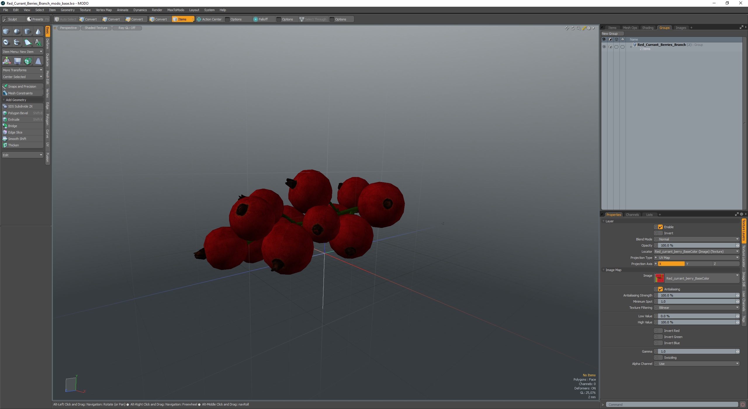 3D Red Currant Berries Branch