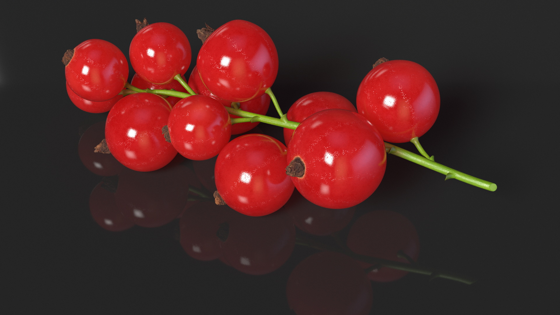 3D Red Currant Berries Branch