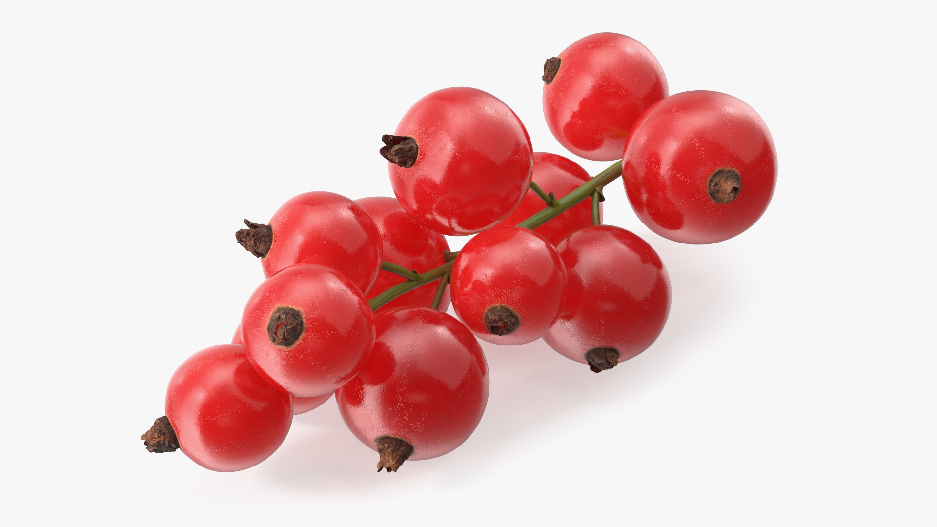 3D Red Currant Berries Branch