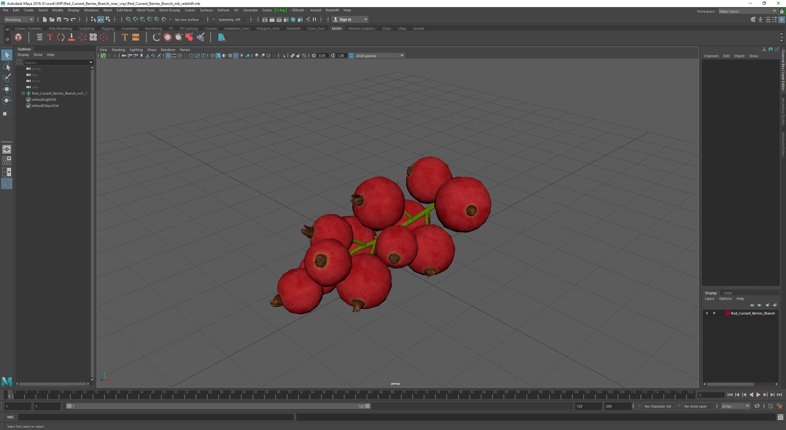 3D Red Currant Berries Branch