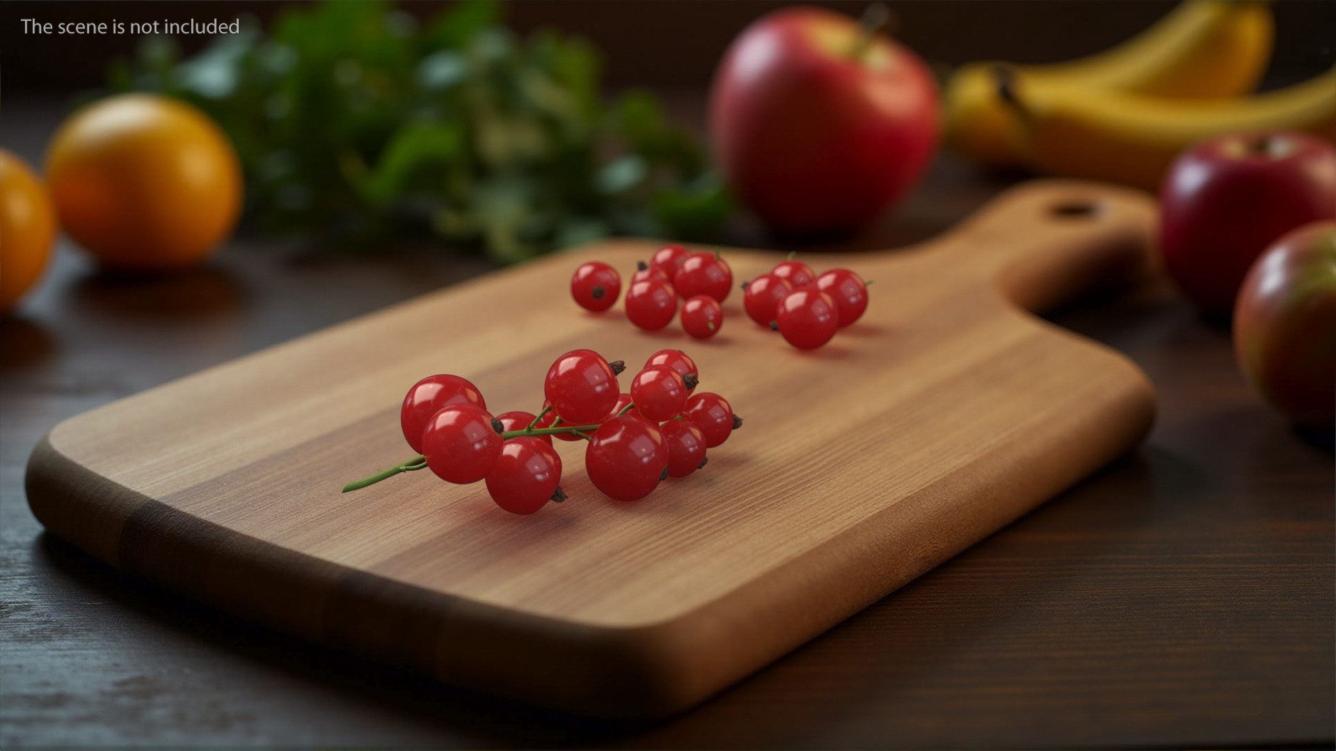 3D Red Currant Berries Branch