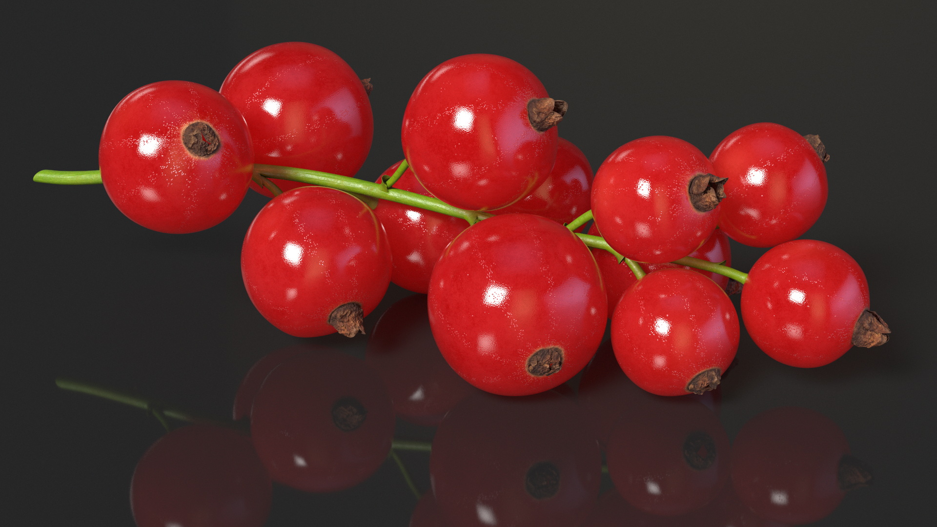 3D Red Currant Berries Branch