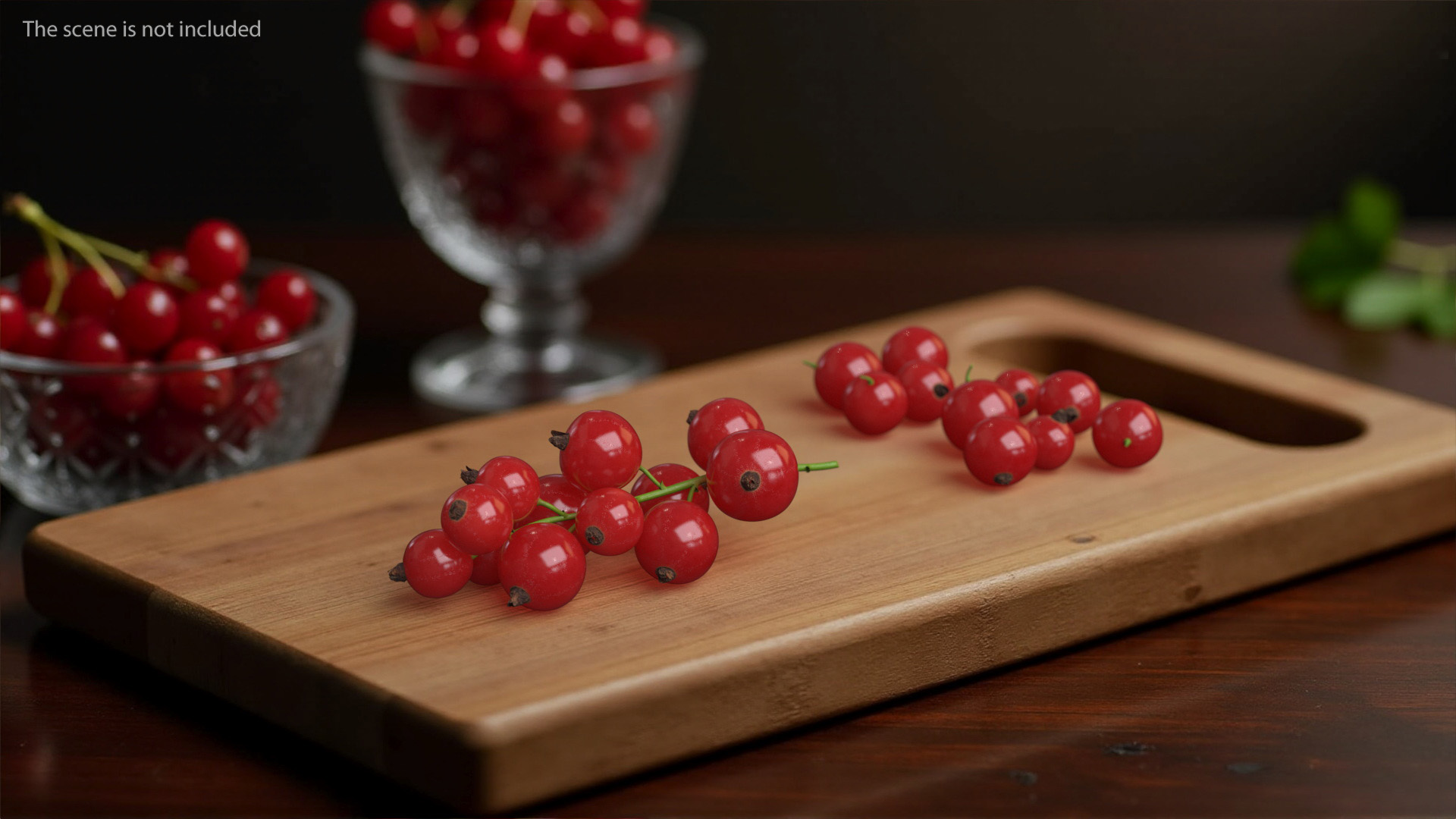 3D Red Currant Berries Branch