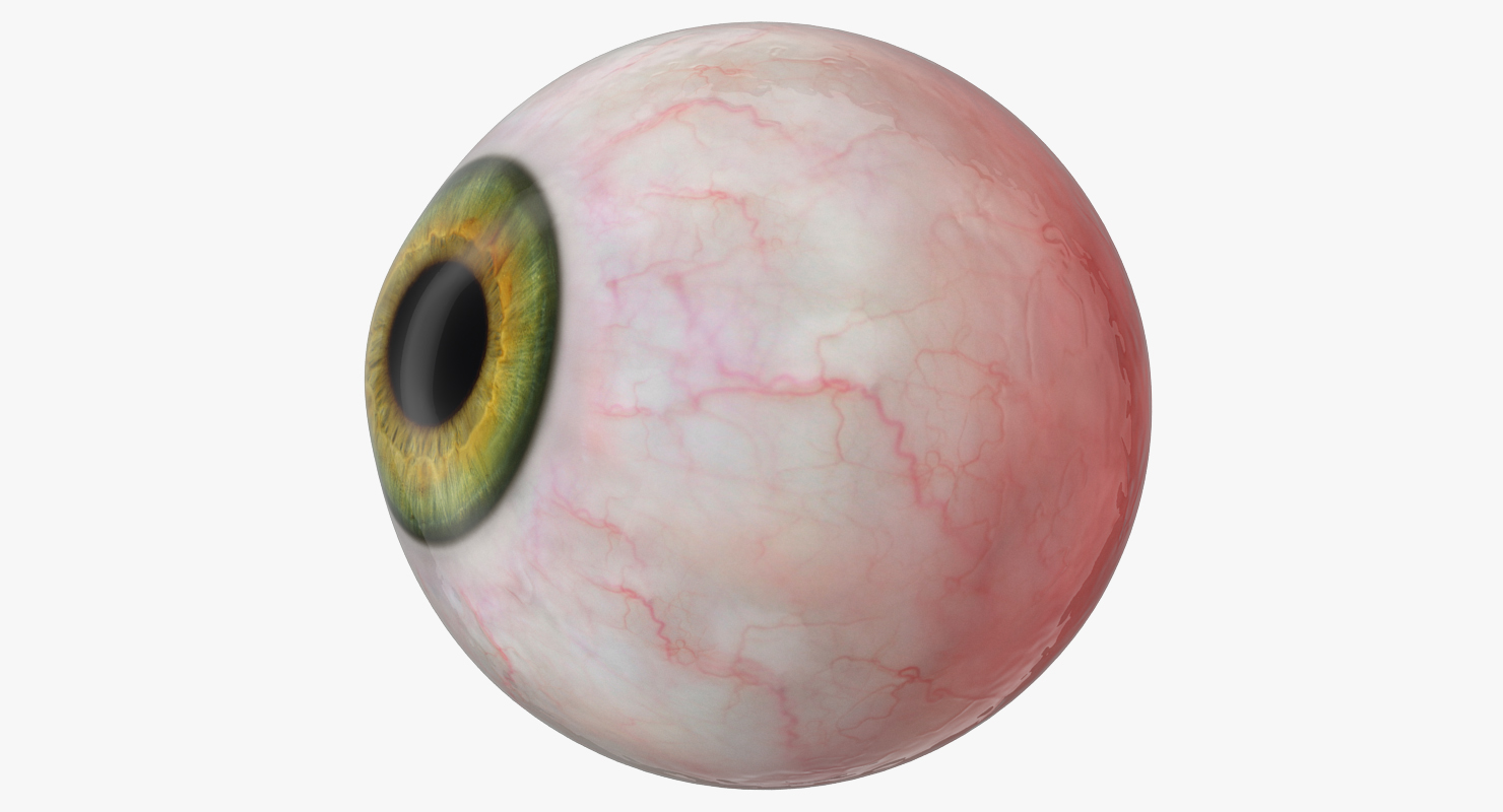 3D model Realistic Human Green Eye