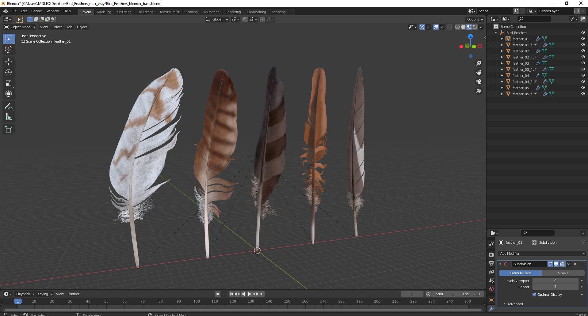 3D Bird Feathers model