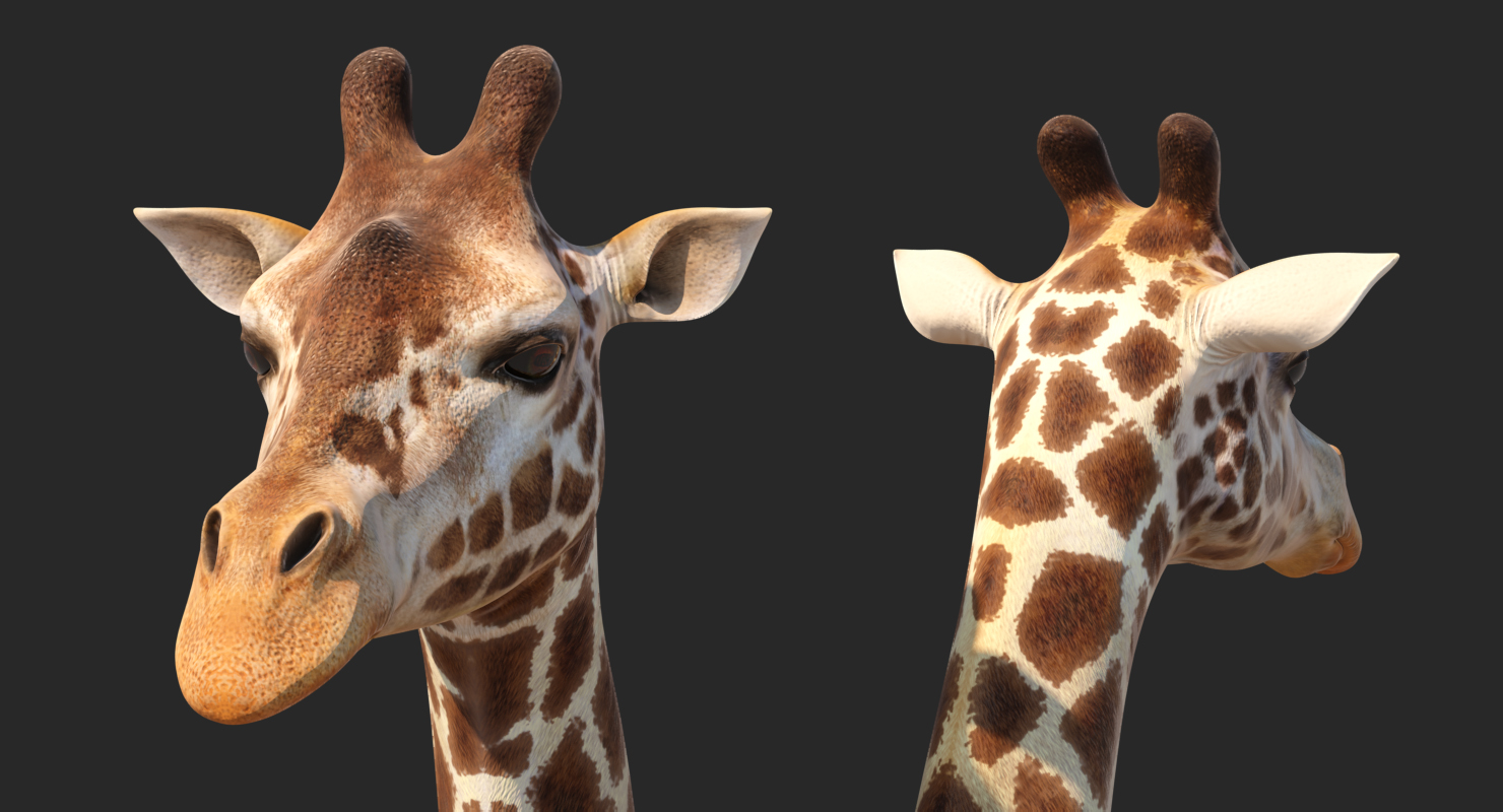 Giraffe Rigged 3D model