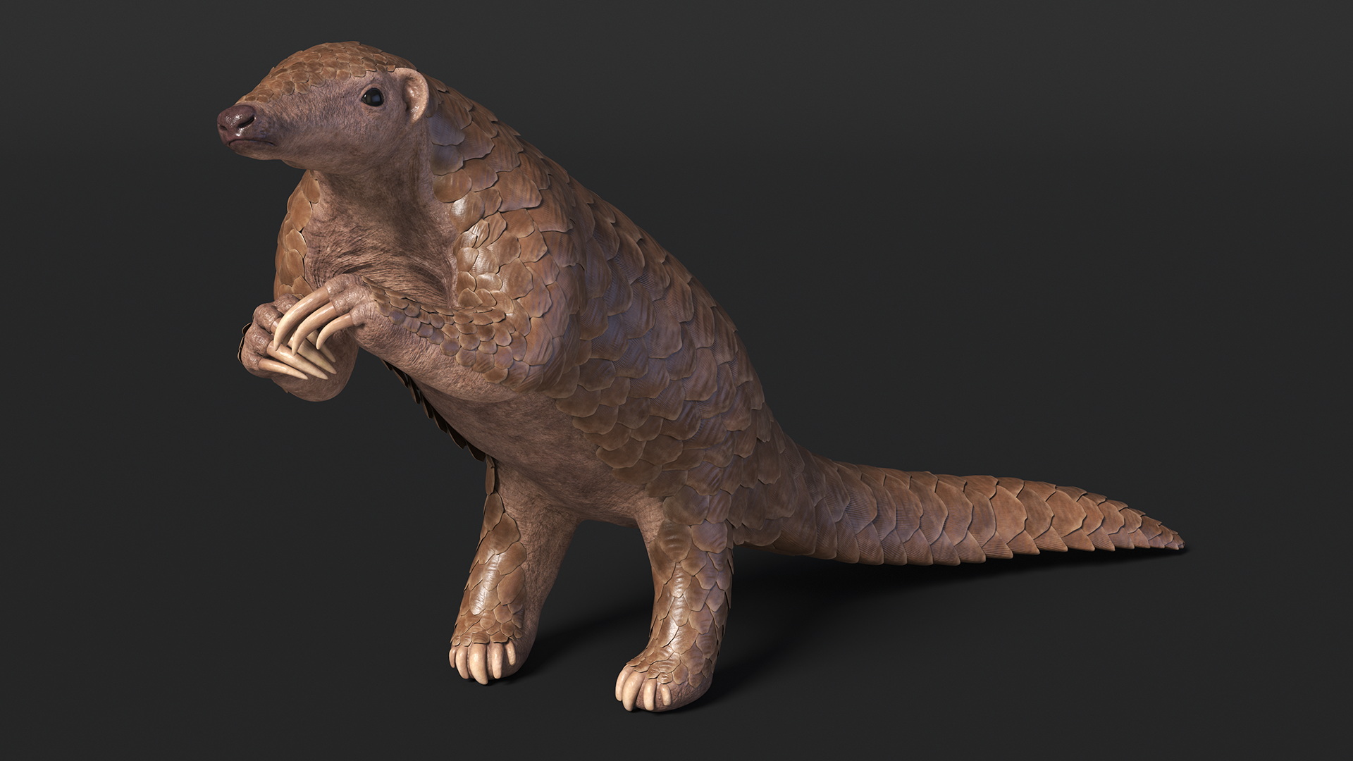 3D model Realistic Pangolin in Standing Pose