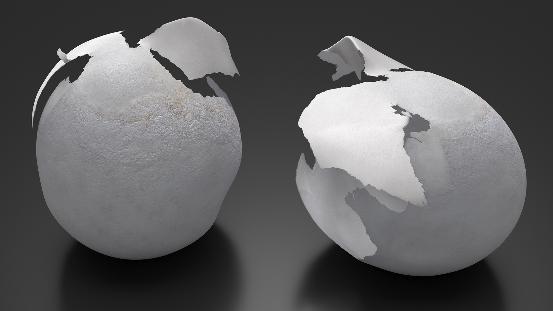 3D Cracked Turtle Egg model