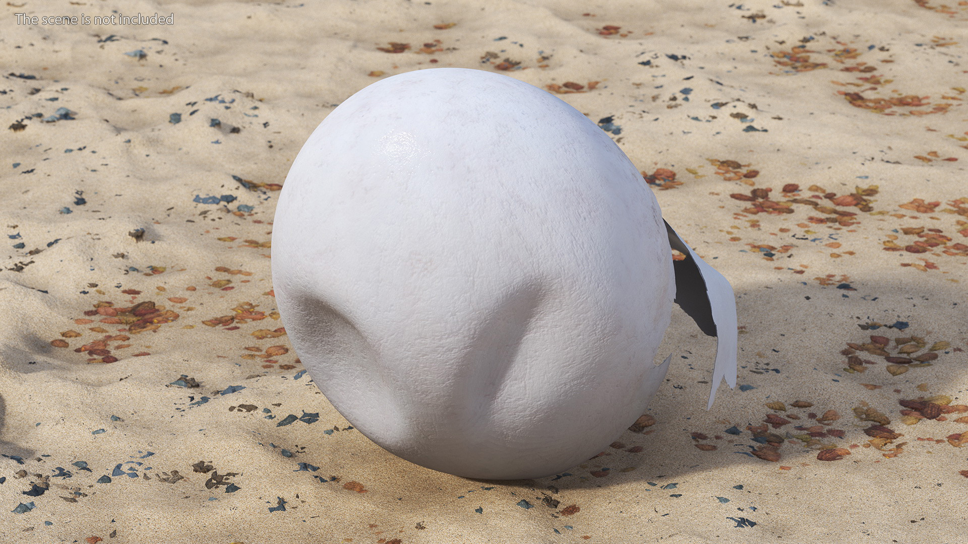 3D Cracked Turtle Egg model