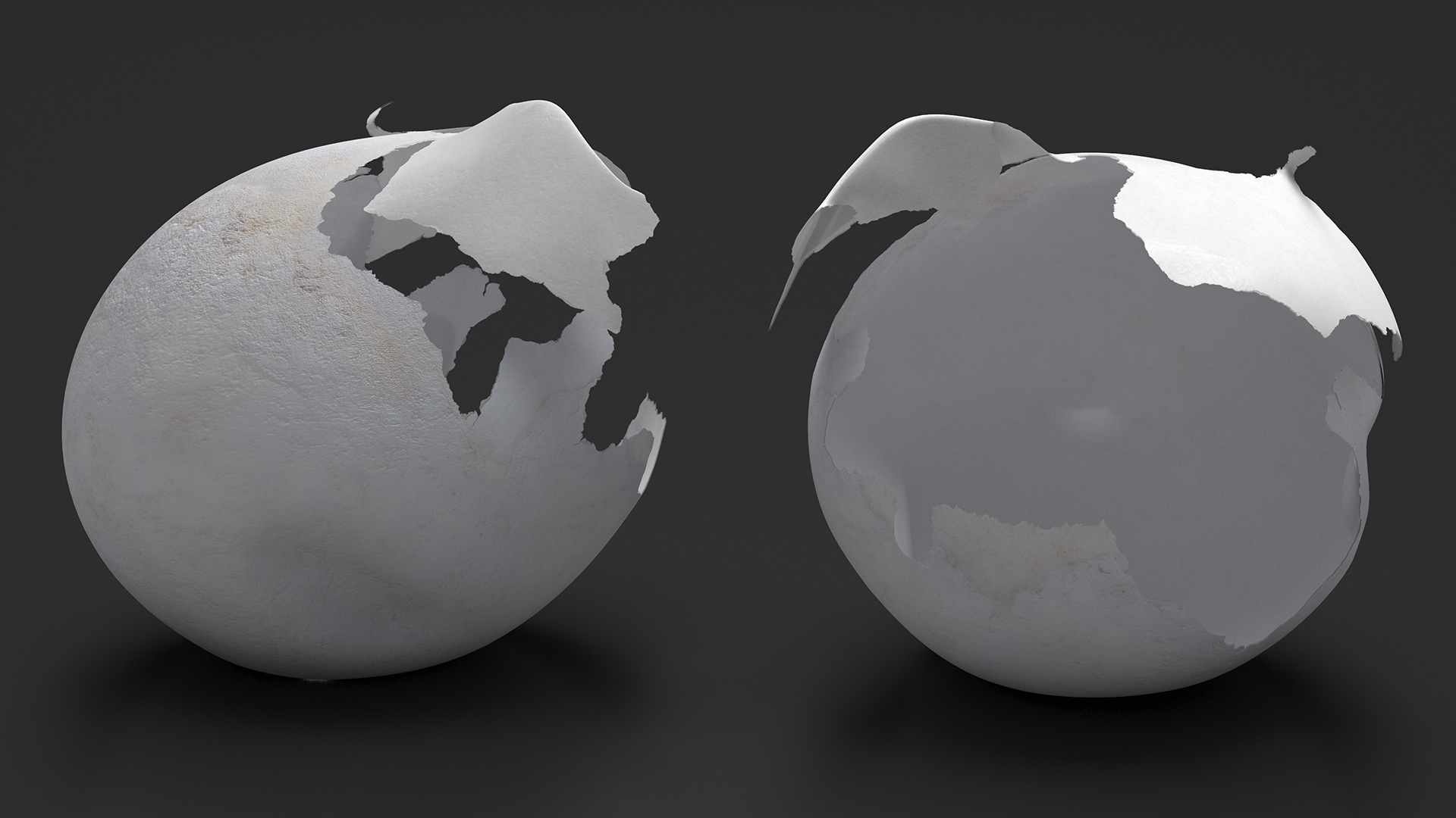 3D Cracked Turtle Egg model