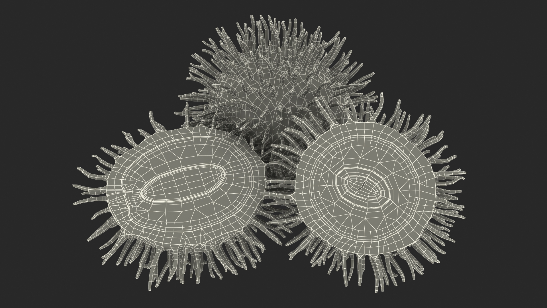 3D Tropical Fruit Rambutan model