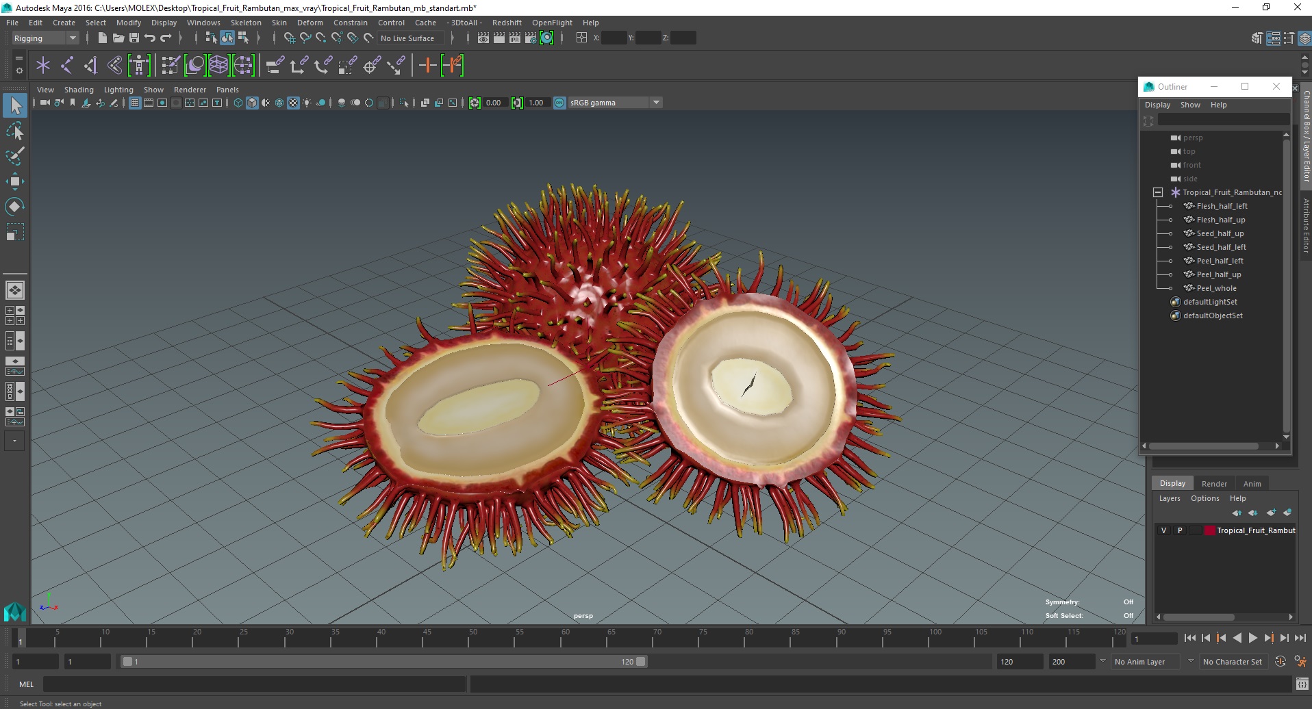 3D Tropical Fruit Rambutan model