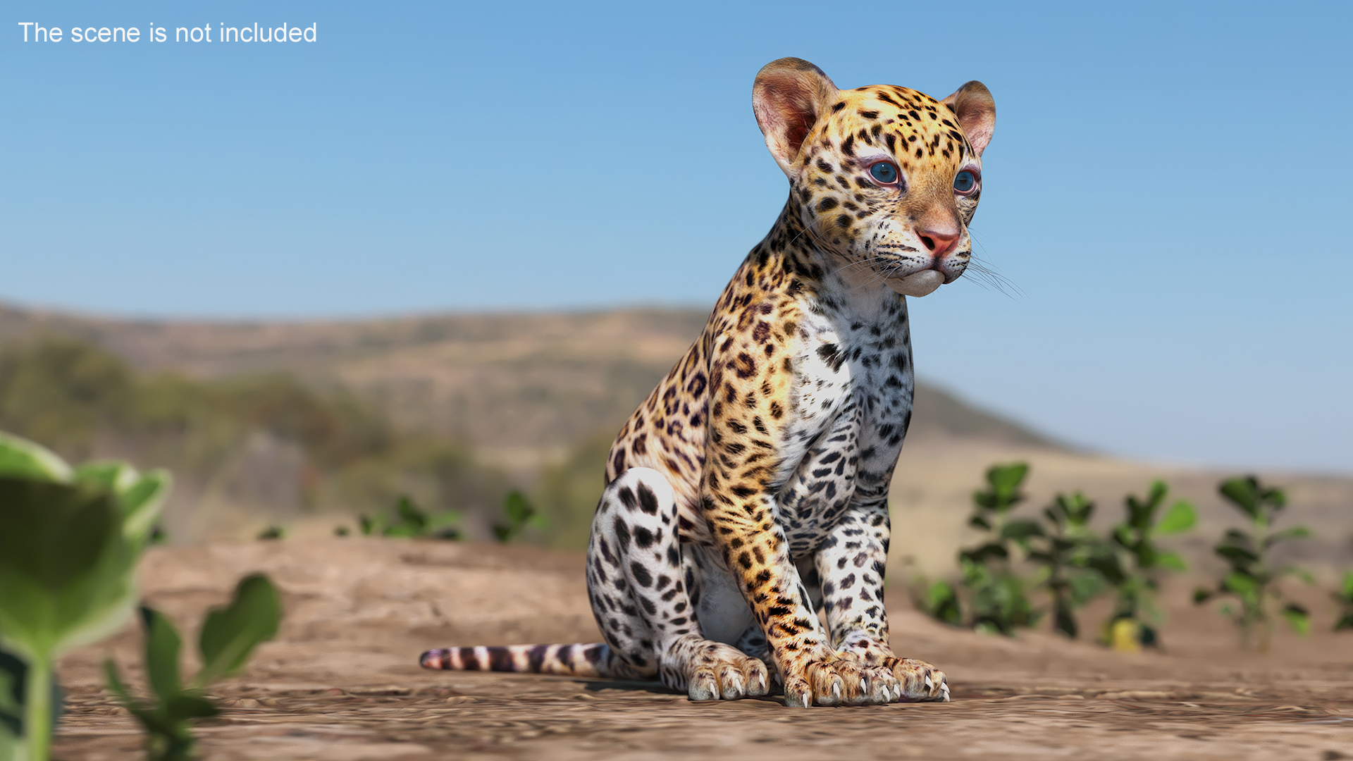 3D Leopard Cub Rigged model