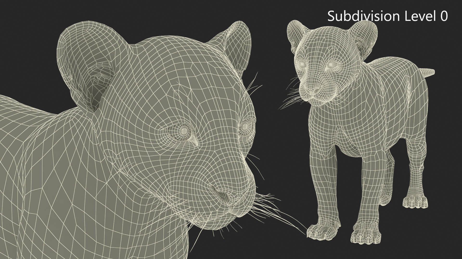 3D Leopard Cub Rigged model