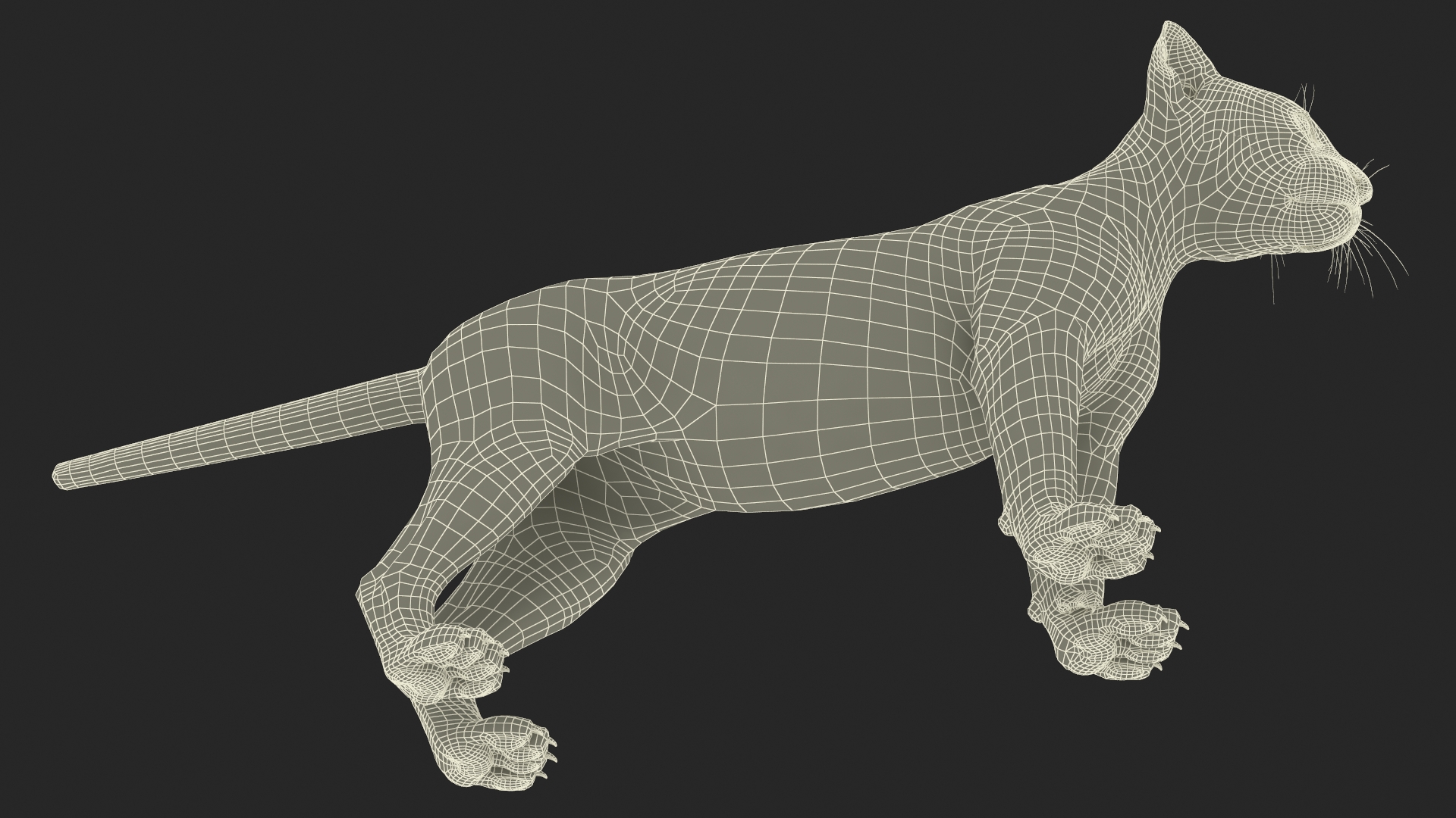 3D Leopard Cub Rigged model