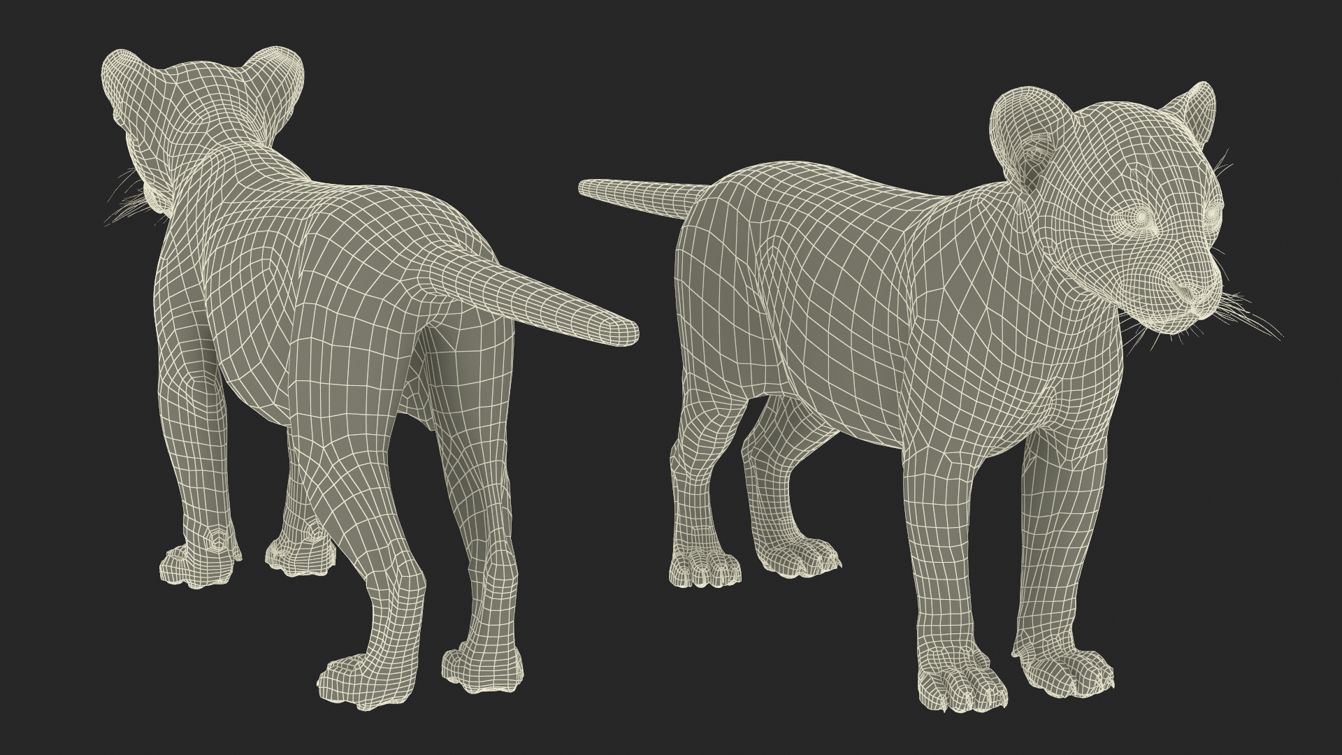 3D Leopard Cub Rigged model