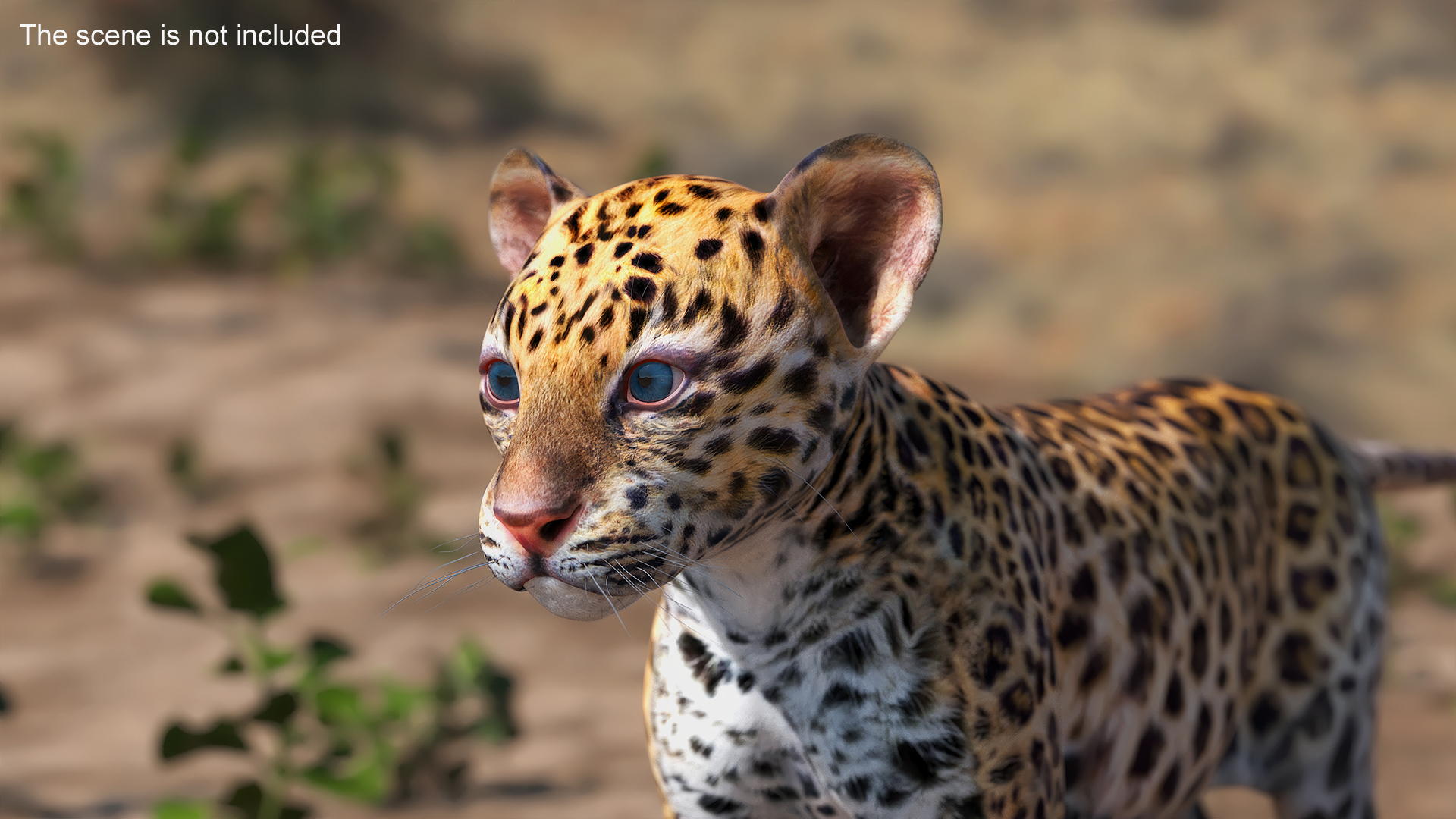 3D Leopard Cub Rigged model