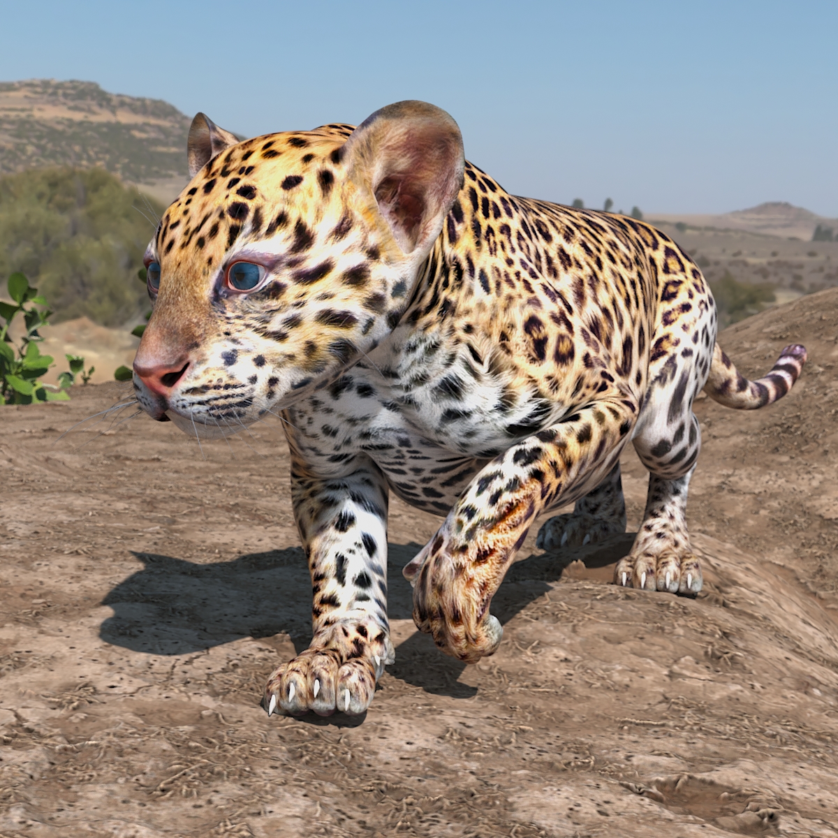 3D Leopard Cub Rigged model