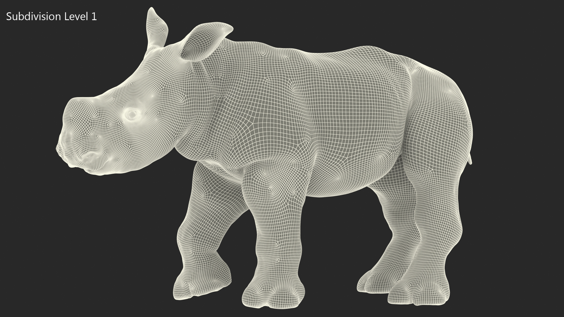 Baby Rhino Standing Pose 3D model