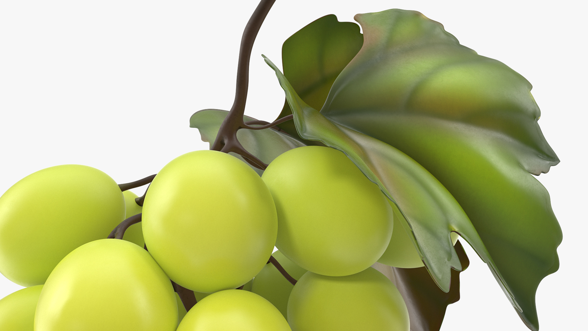 Bunch of Fresh Green Grapes 3D