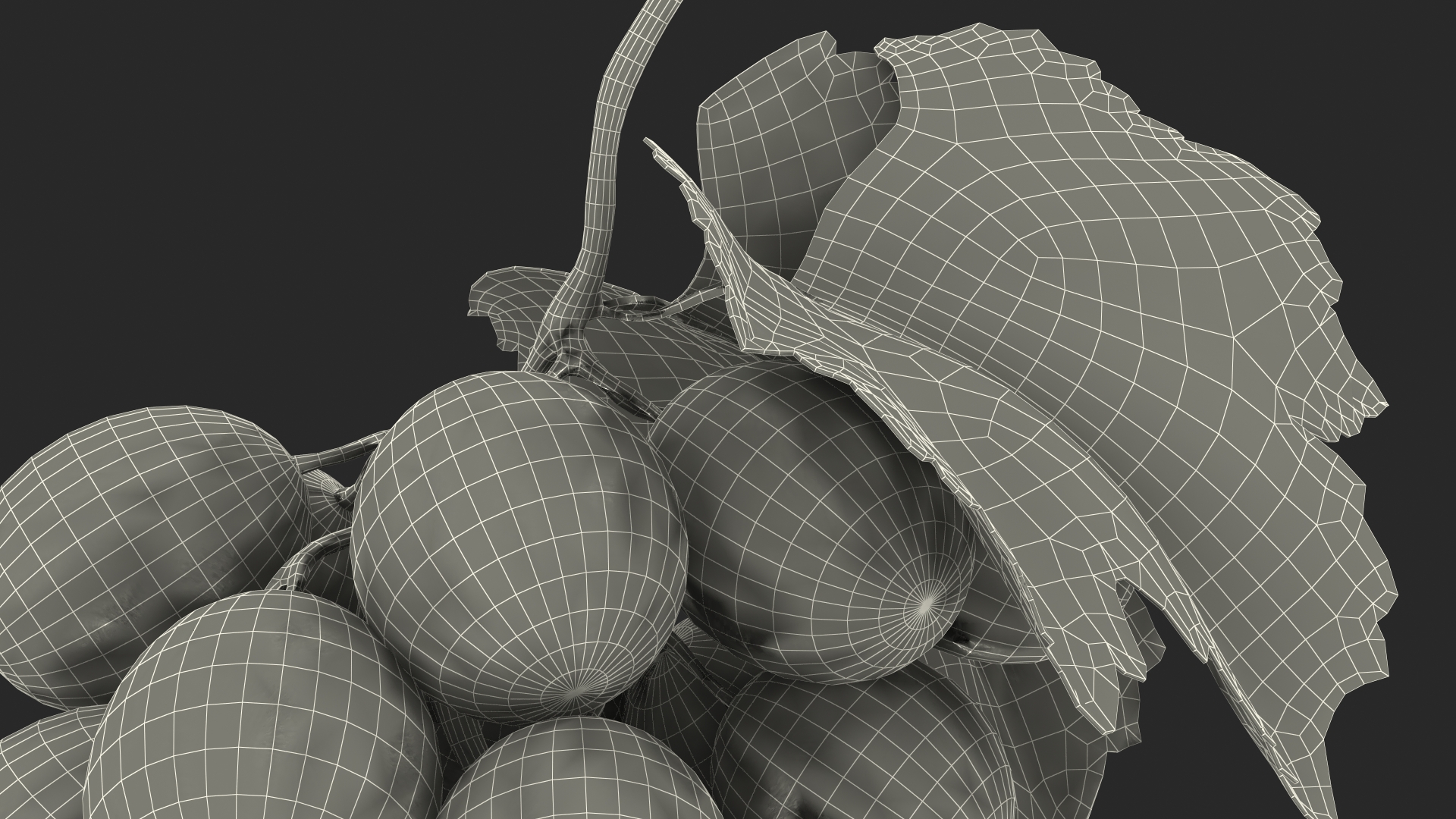 Bunch of Fresh Green Grapes 3D