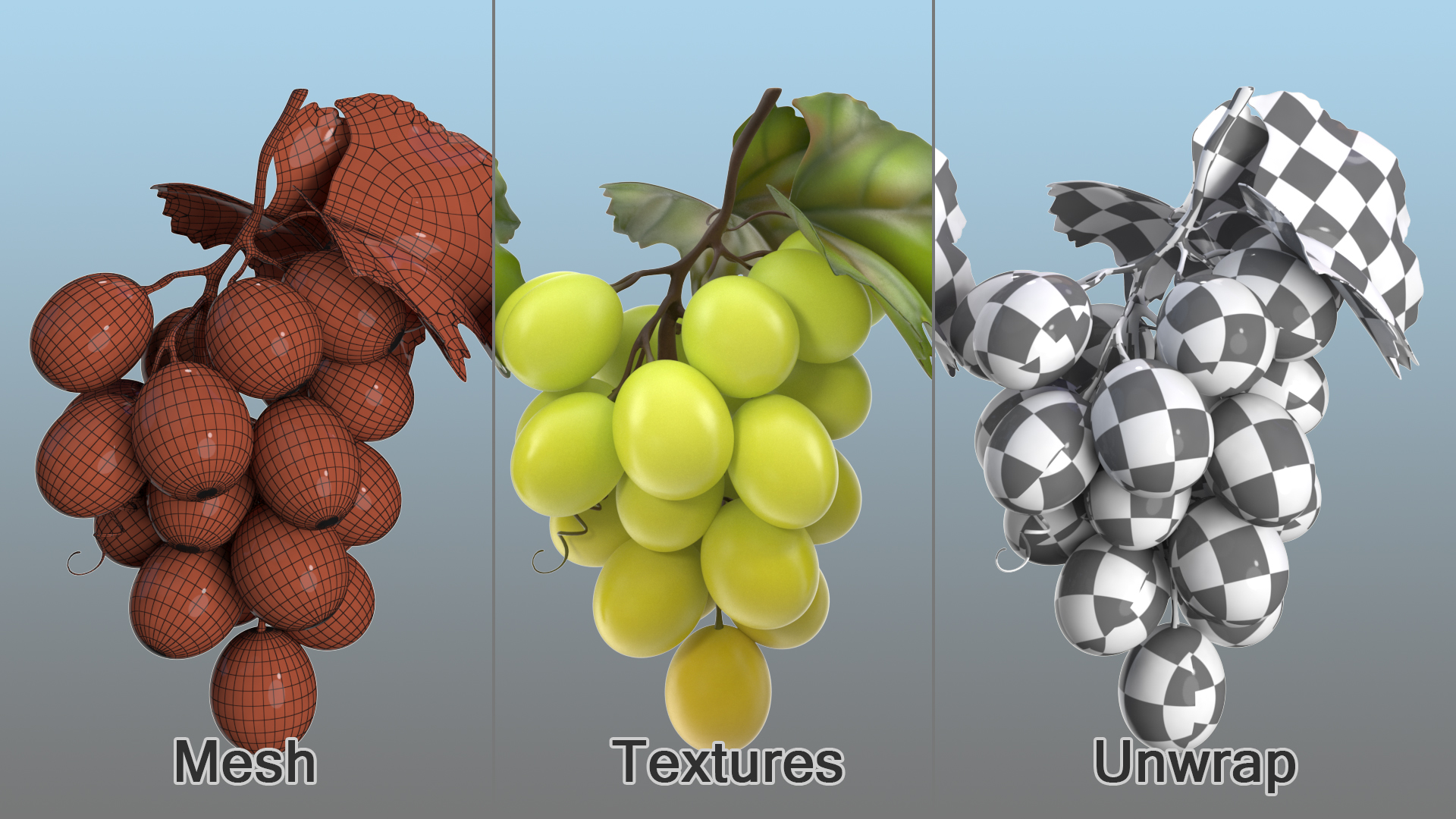 Bunch of Fresh Green Grapes 3D