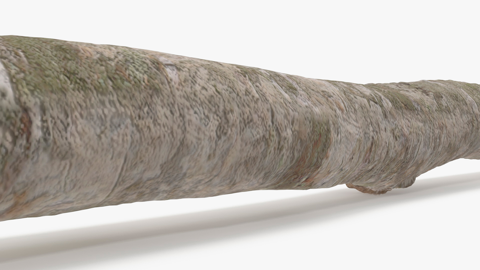 3D White Birch Poles Set