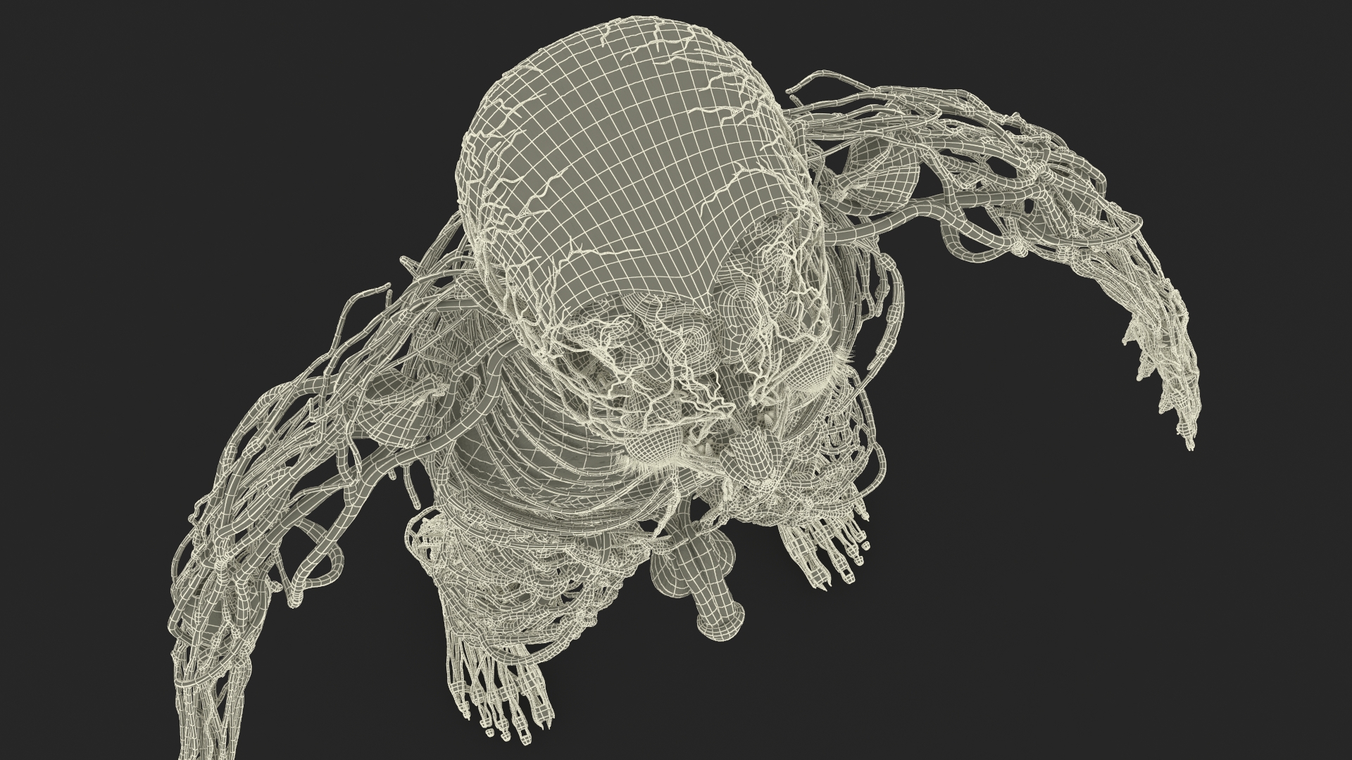 3D Male Full Body Anatomy Negroid Rigged for Cinema 4D