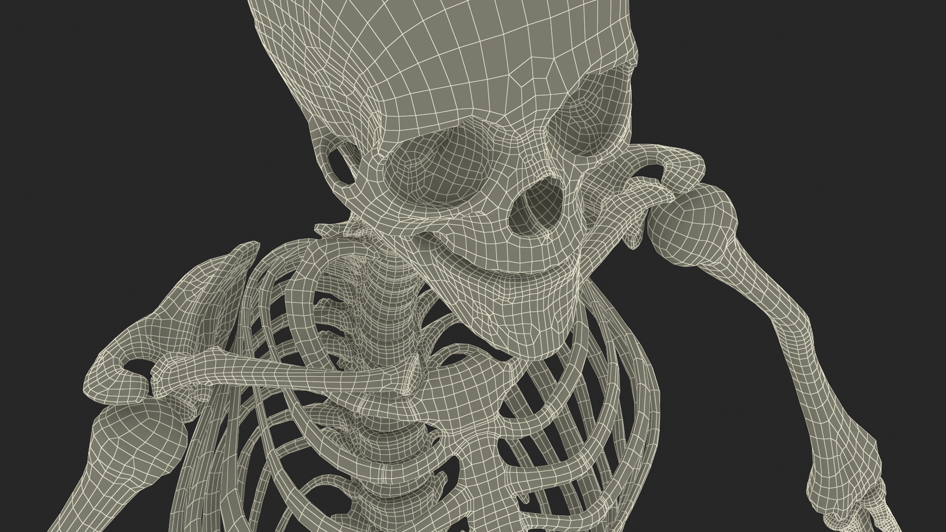 3D Male Full Body Anatomy Negroid Rigged for Cinema 4D