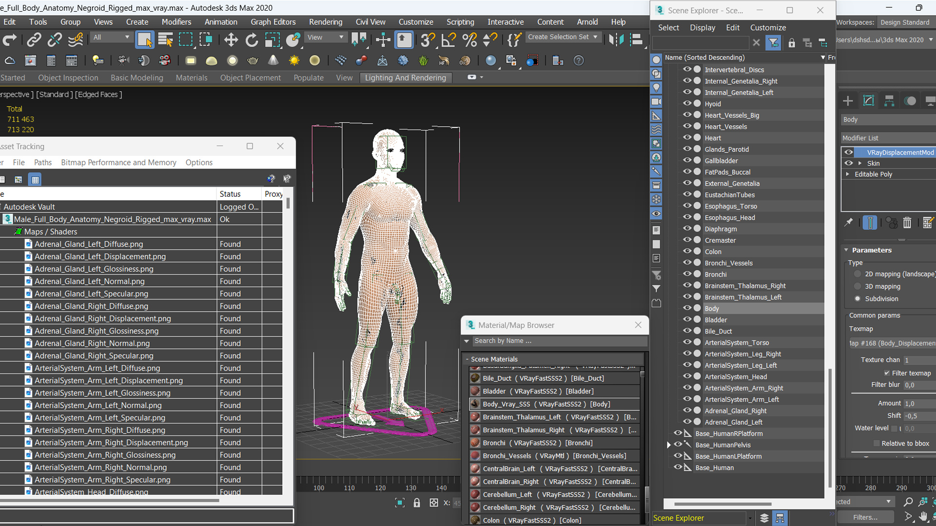 3D Male Full Body Anatomy Negroid Rigged for Maya