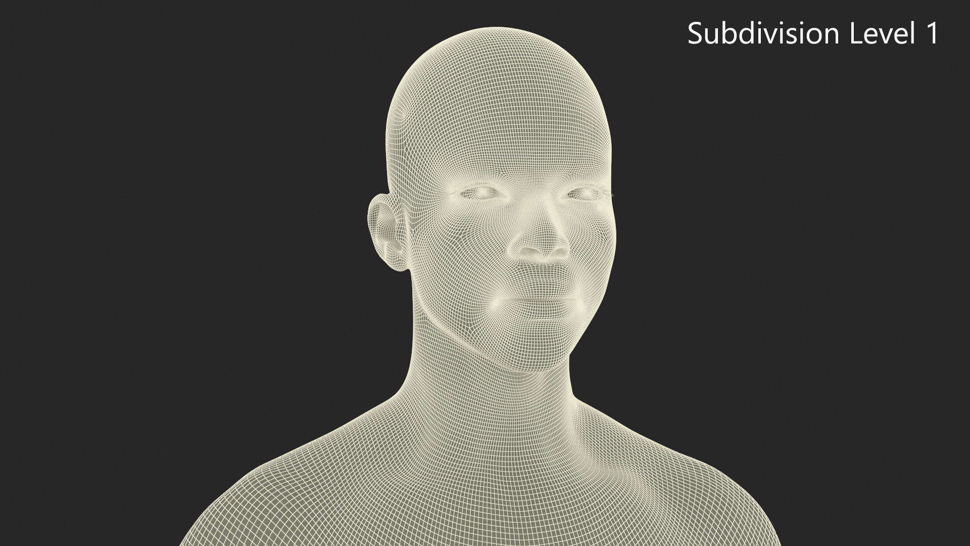 3D Male Full Body Anatomy Negroid Rigged for Cinema 4D