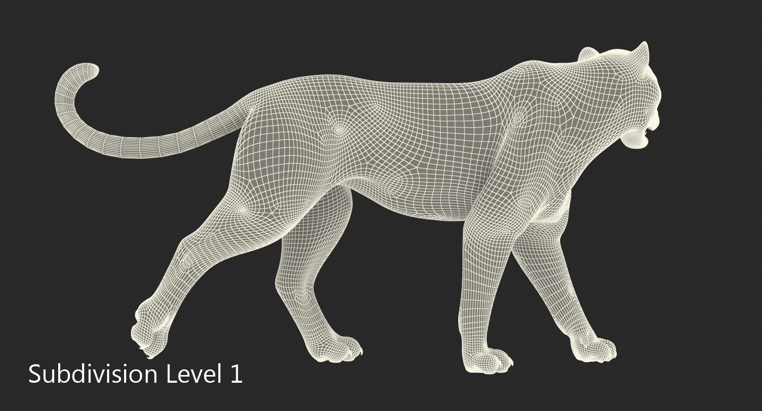 3D model Snow Leopard Walking Pose