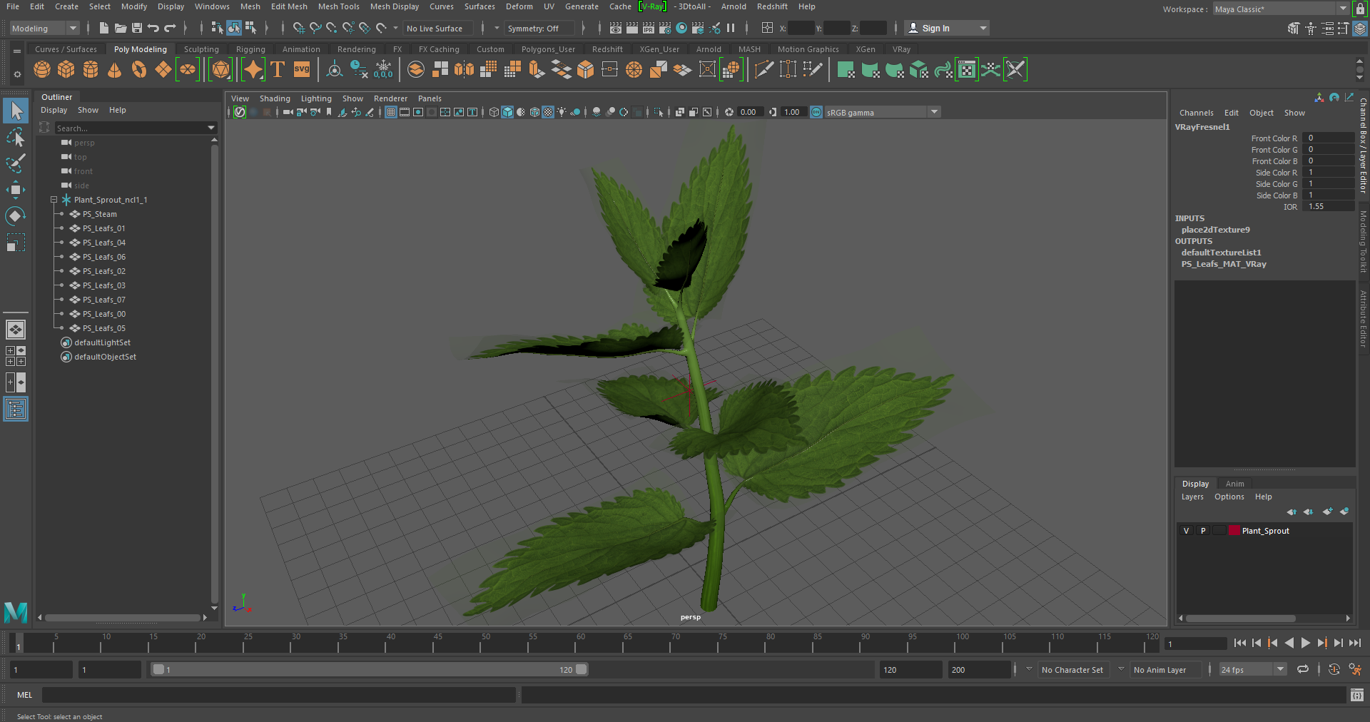 Plant Sprout 3D