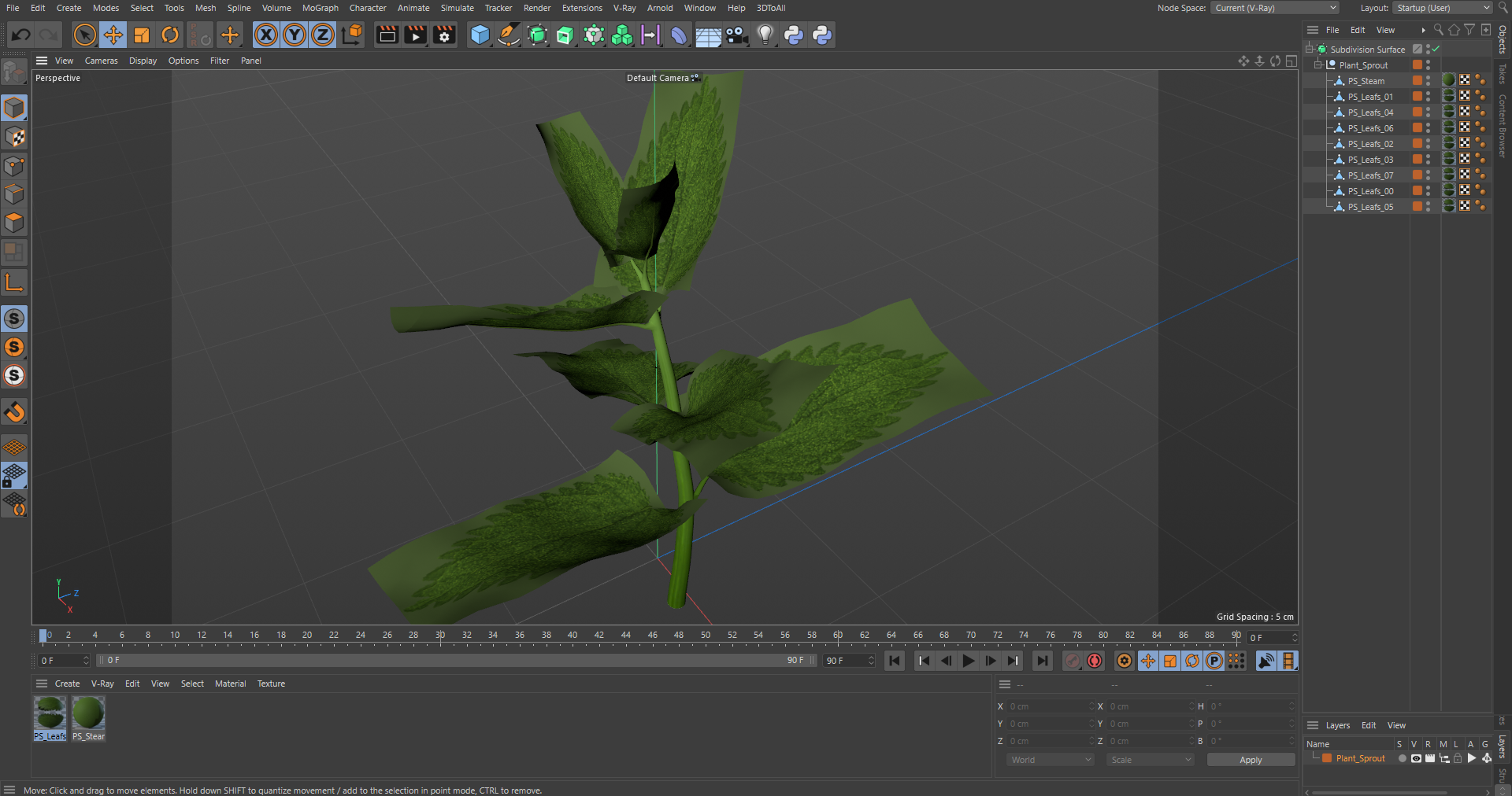 Plant Sprout 3D